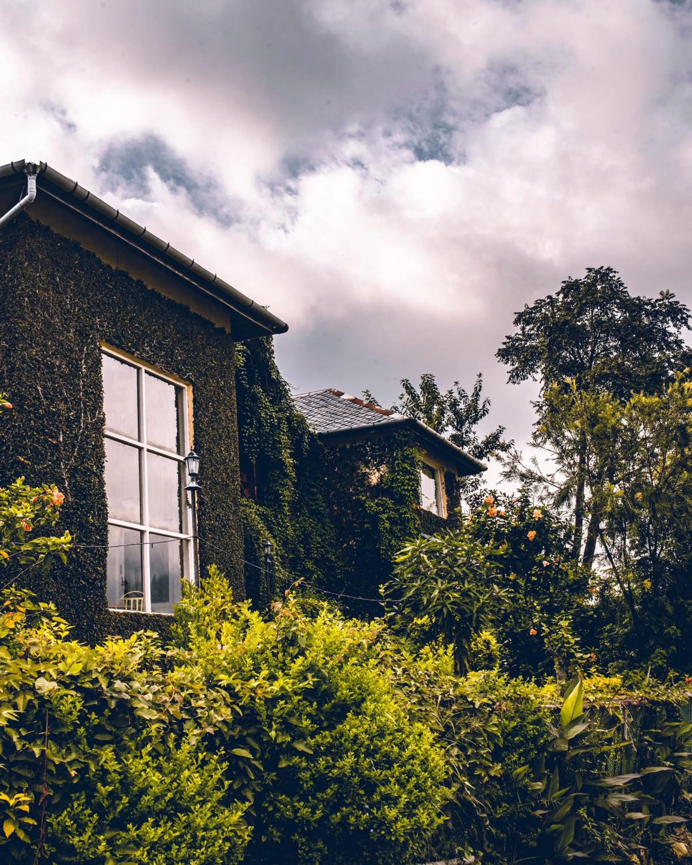 Property building in Seclude Palampur