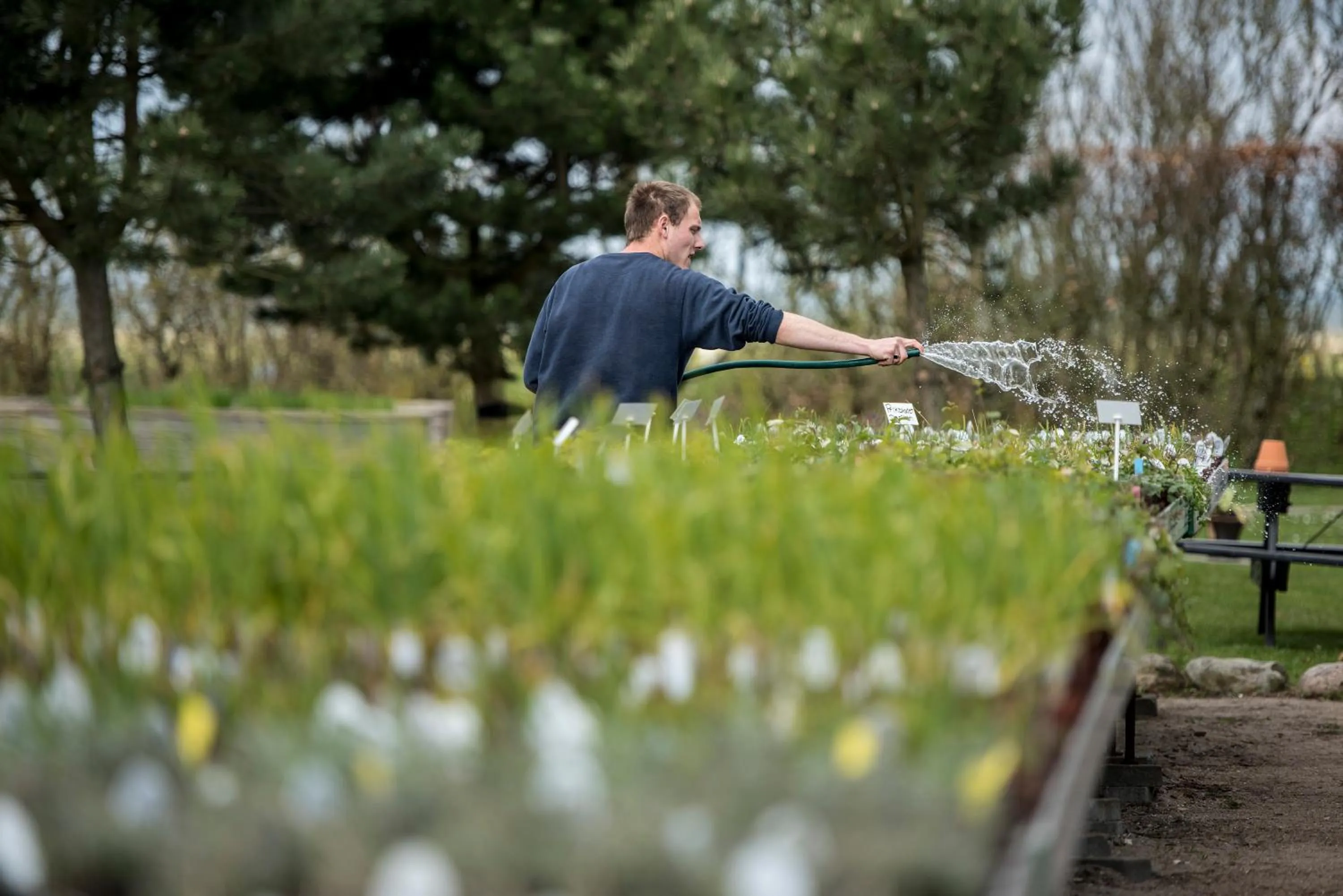 Danhostel Vitskøl Kloster