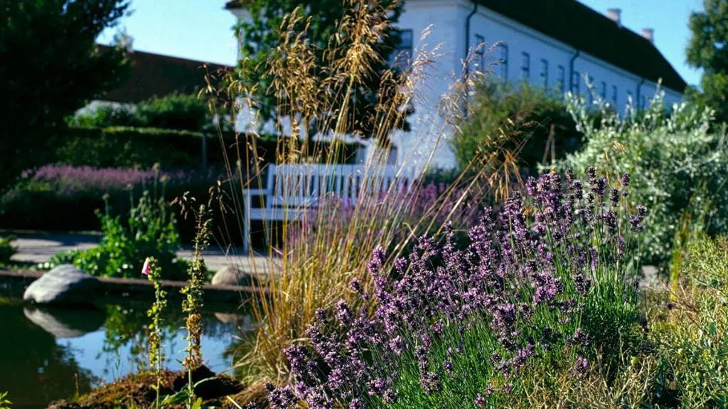 Danhostel Vitskøl Kloster