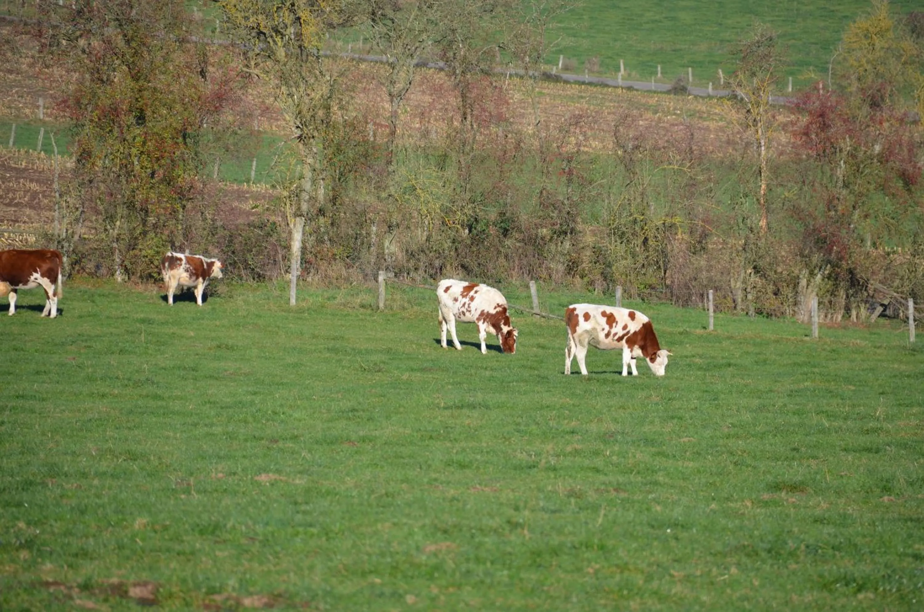 Area and facilities in B&B Nord Sud