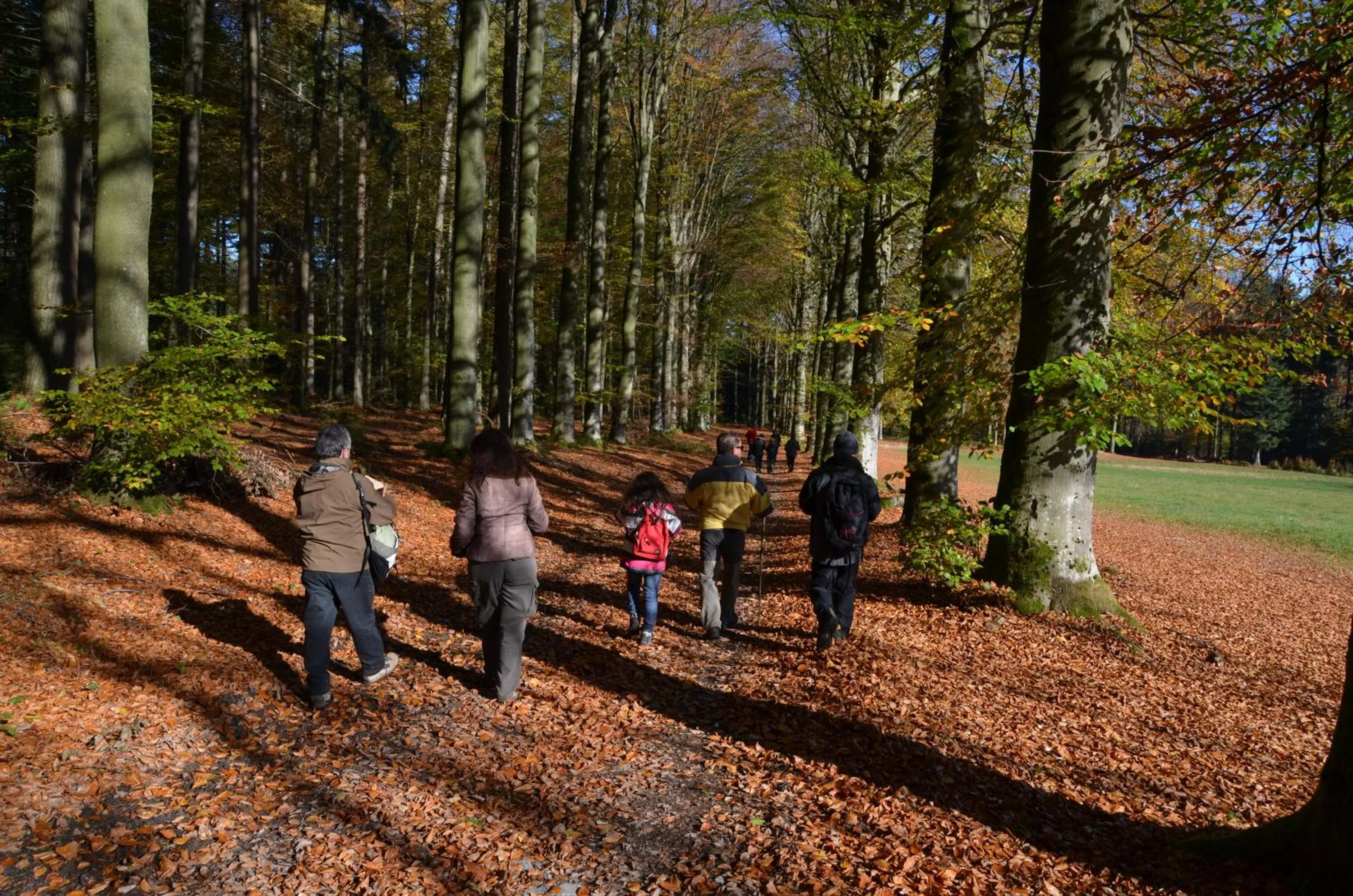 group of guests in B&B Nord Sud