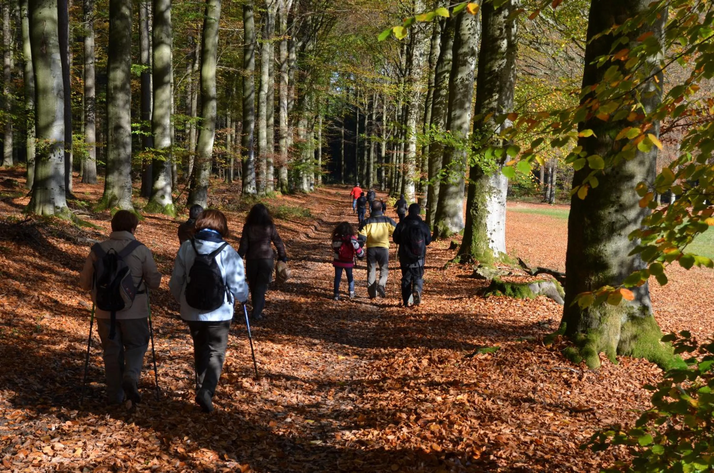 People in B&B Nord Sud