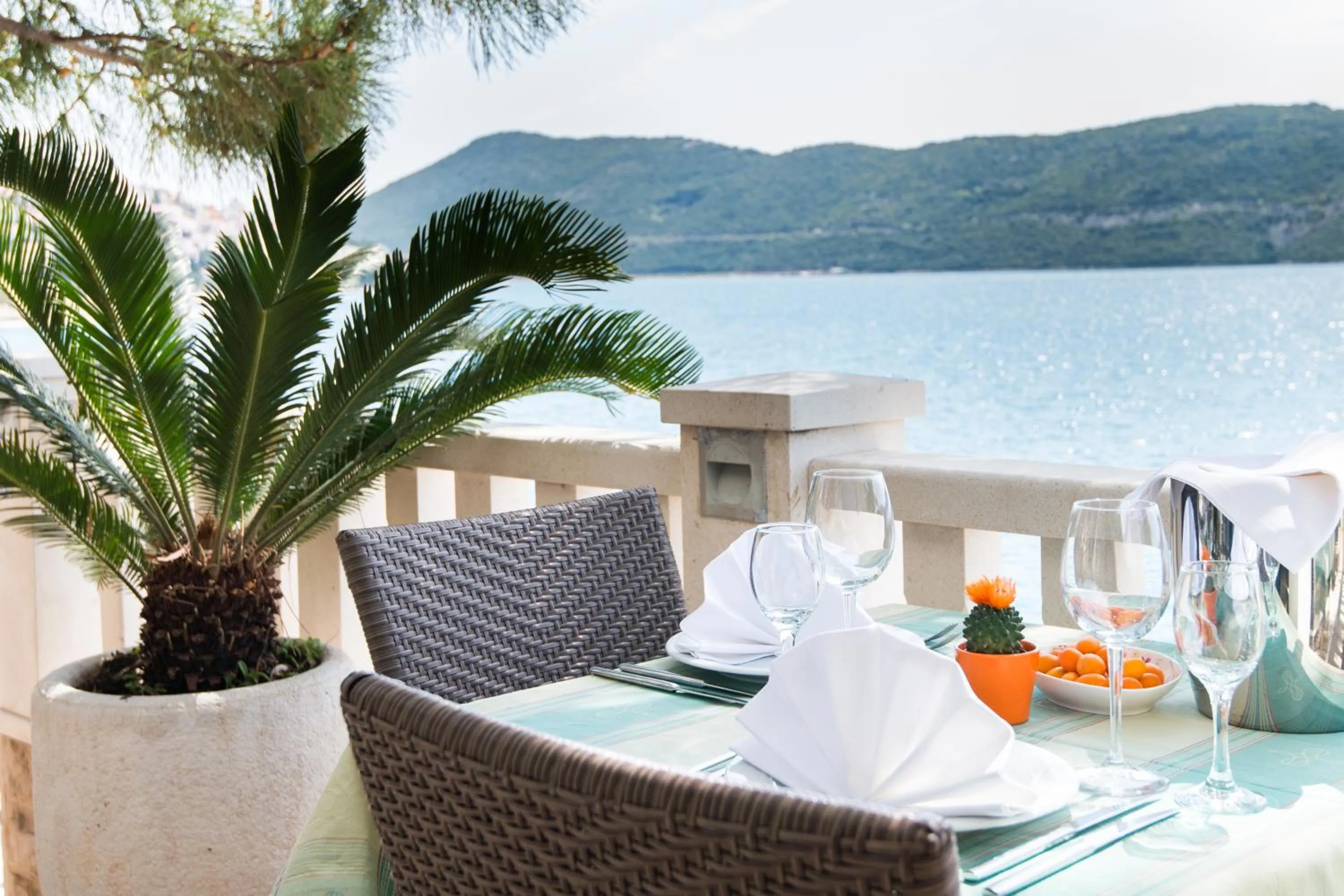 Food and drinks in Hotel Nova