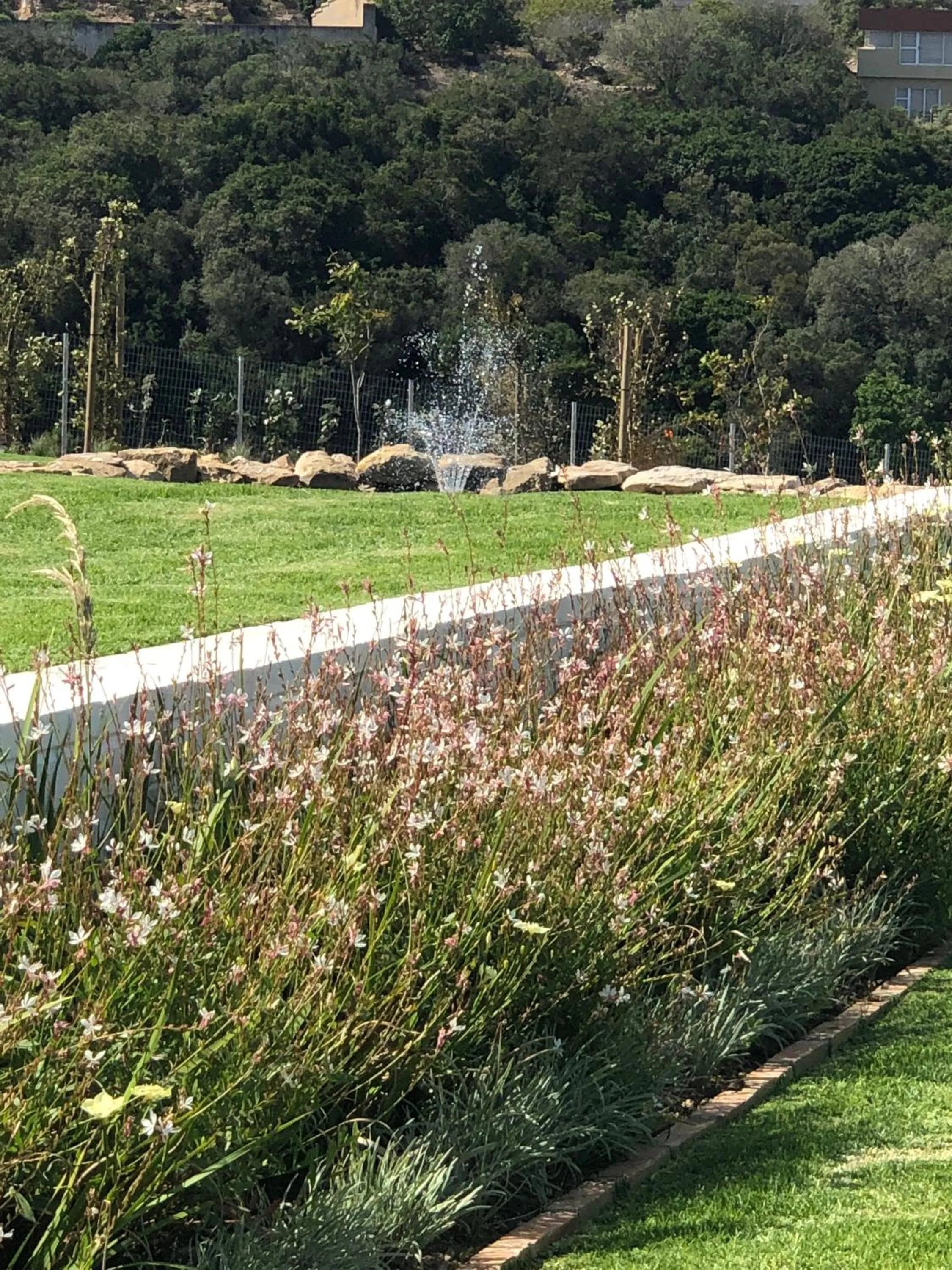 Natural landscape in Karee Manor Guesthouse