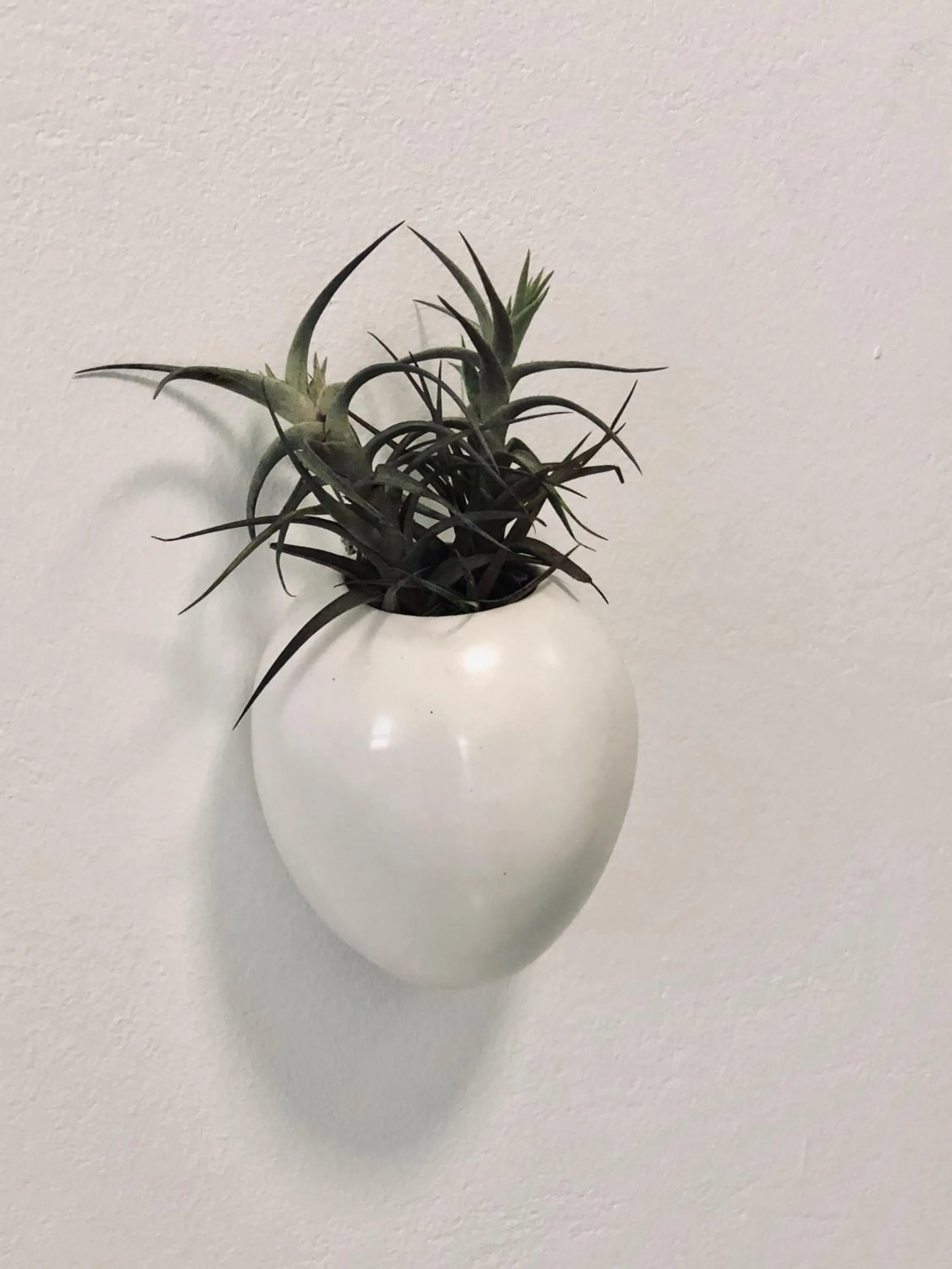 Decorative detail in Karee Manor Guesthouse