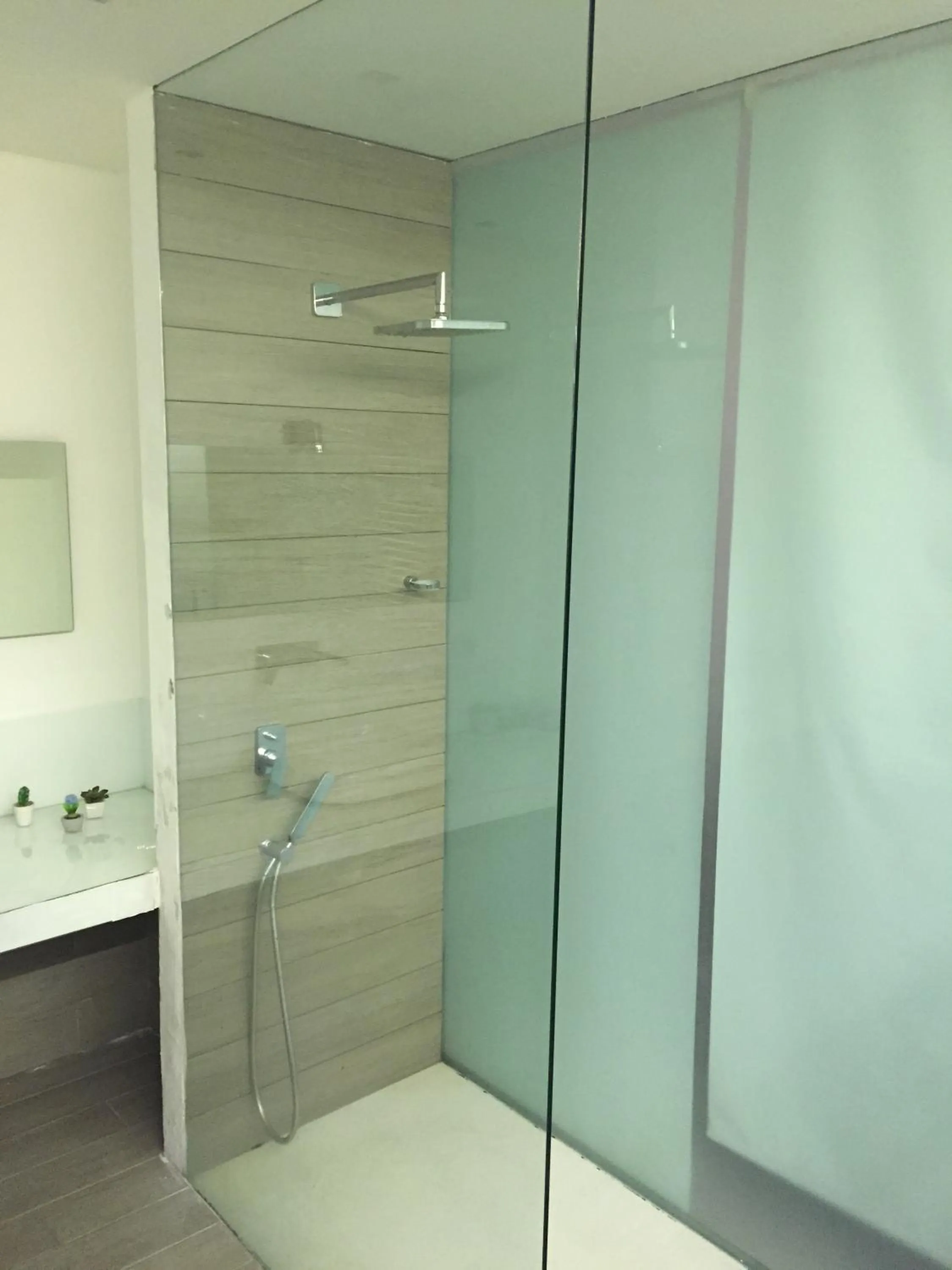 Shower in Smile's Home