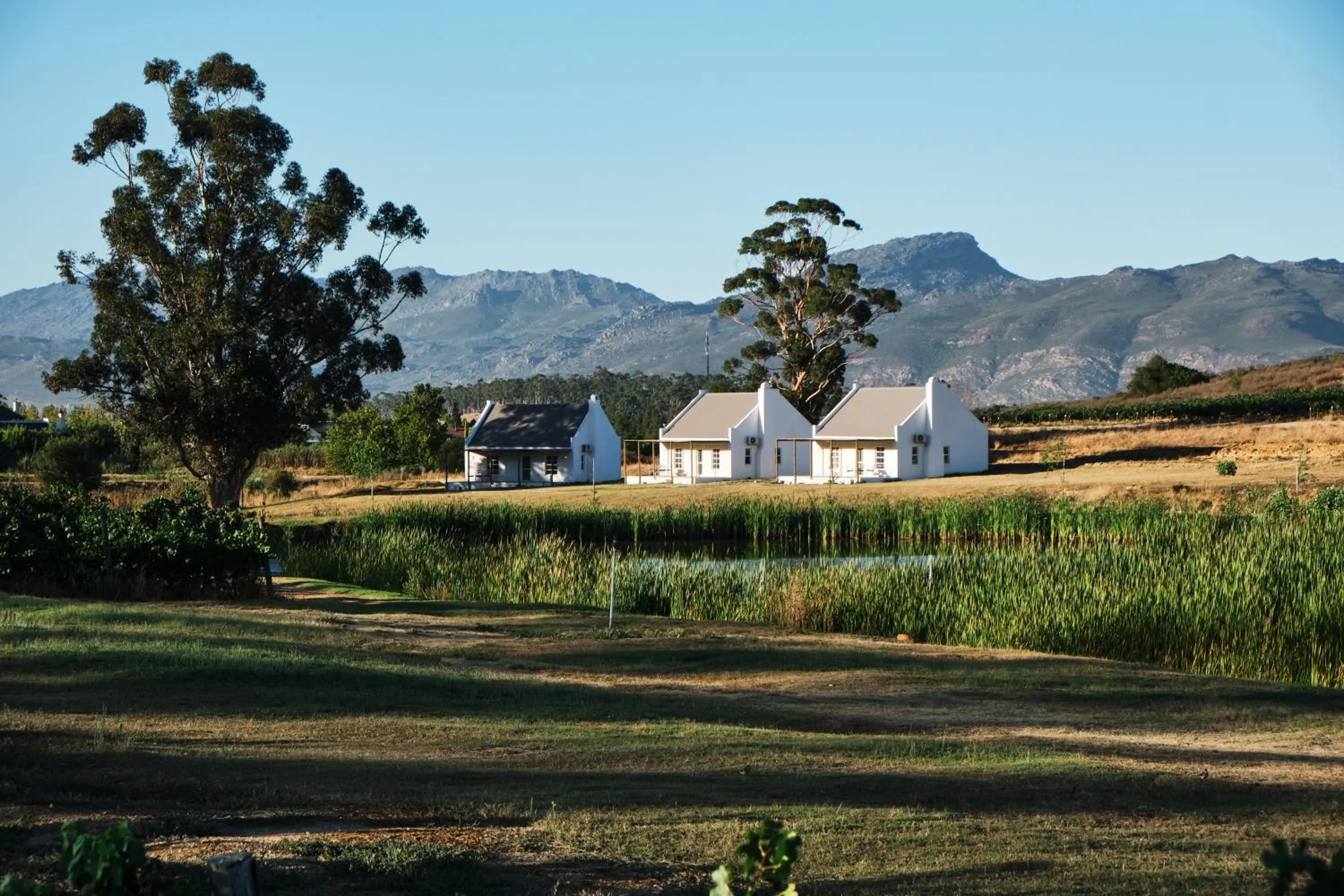 Natural landscape in Rijk's Wine Estate & Hotel