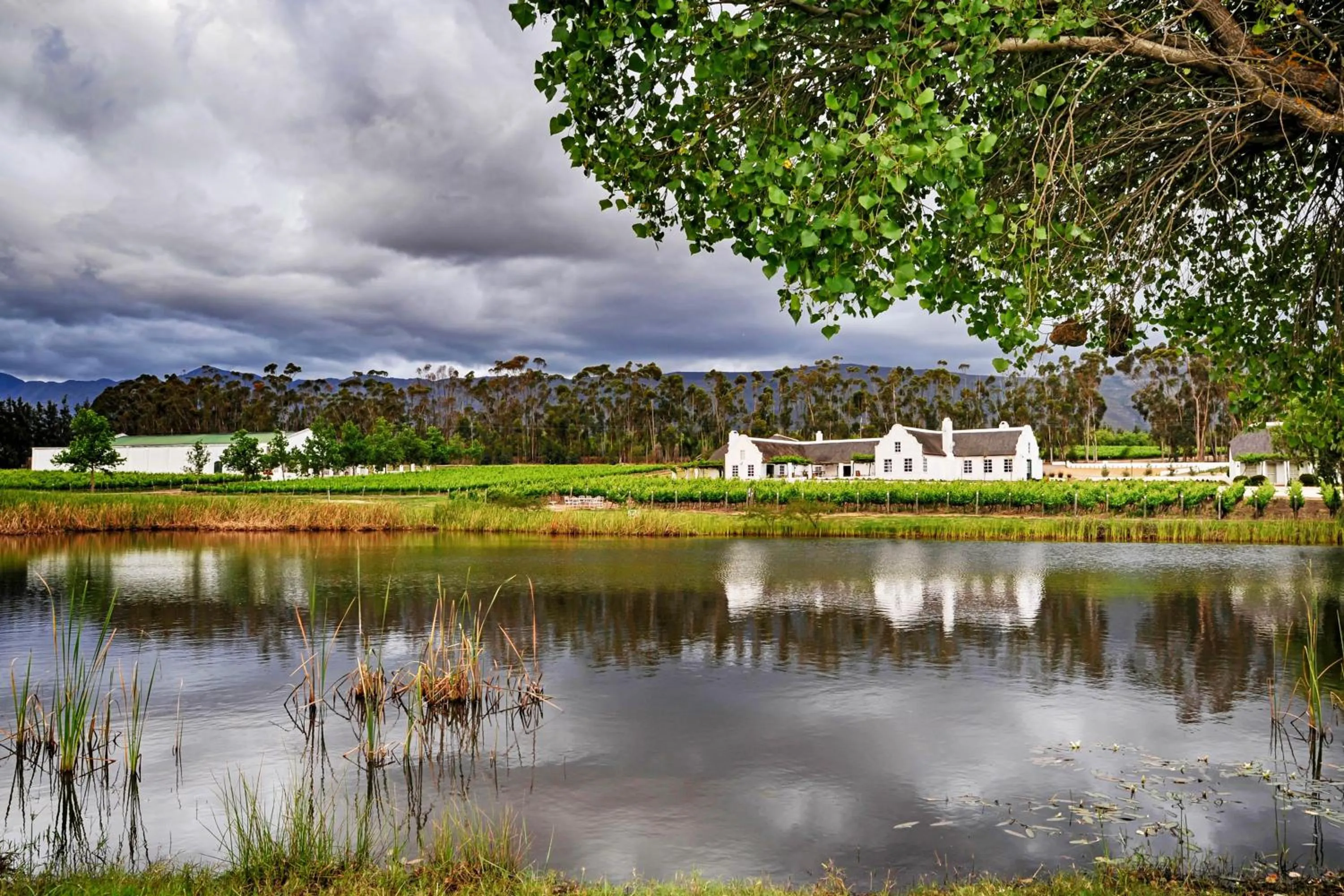 Natural landscape in Rijk's Wine Estate & Hotel