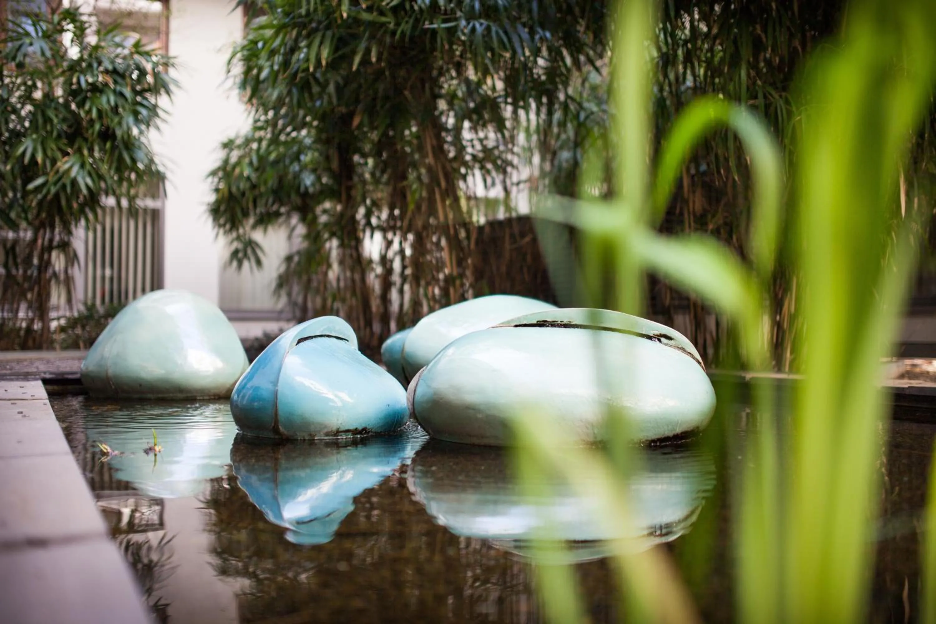 Garden in Quality Point Apartments 0-24 reception