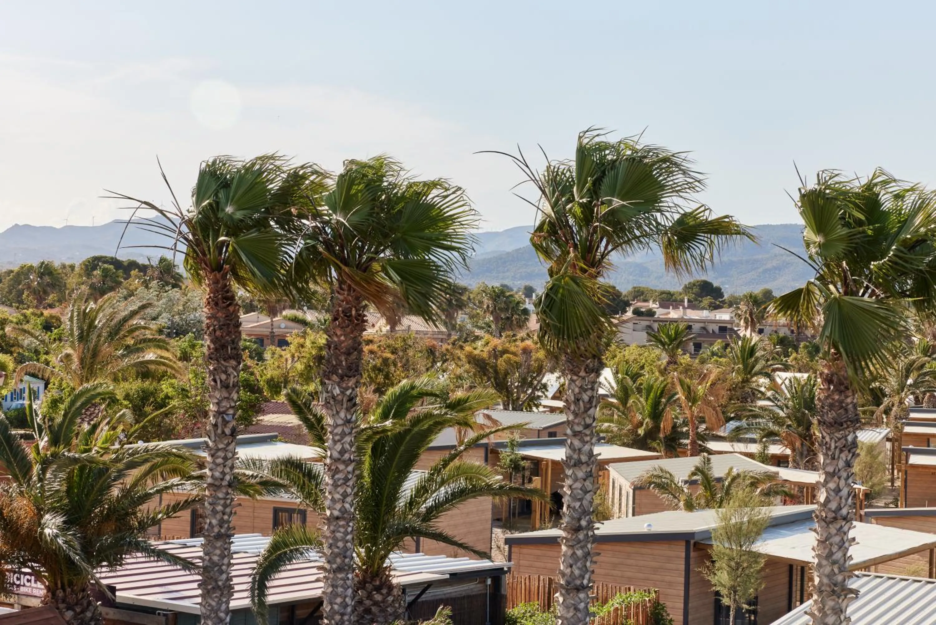 View (from property/room) in TAIGA Delta de l'Ebre