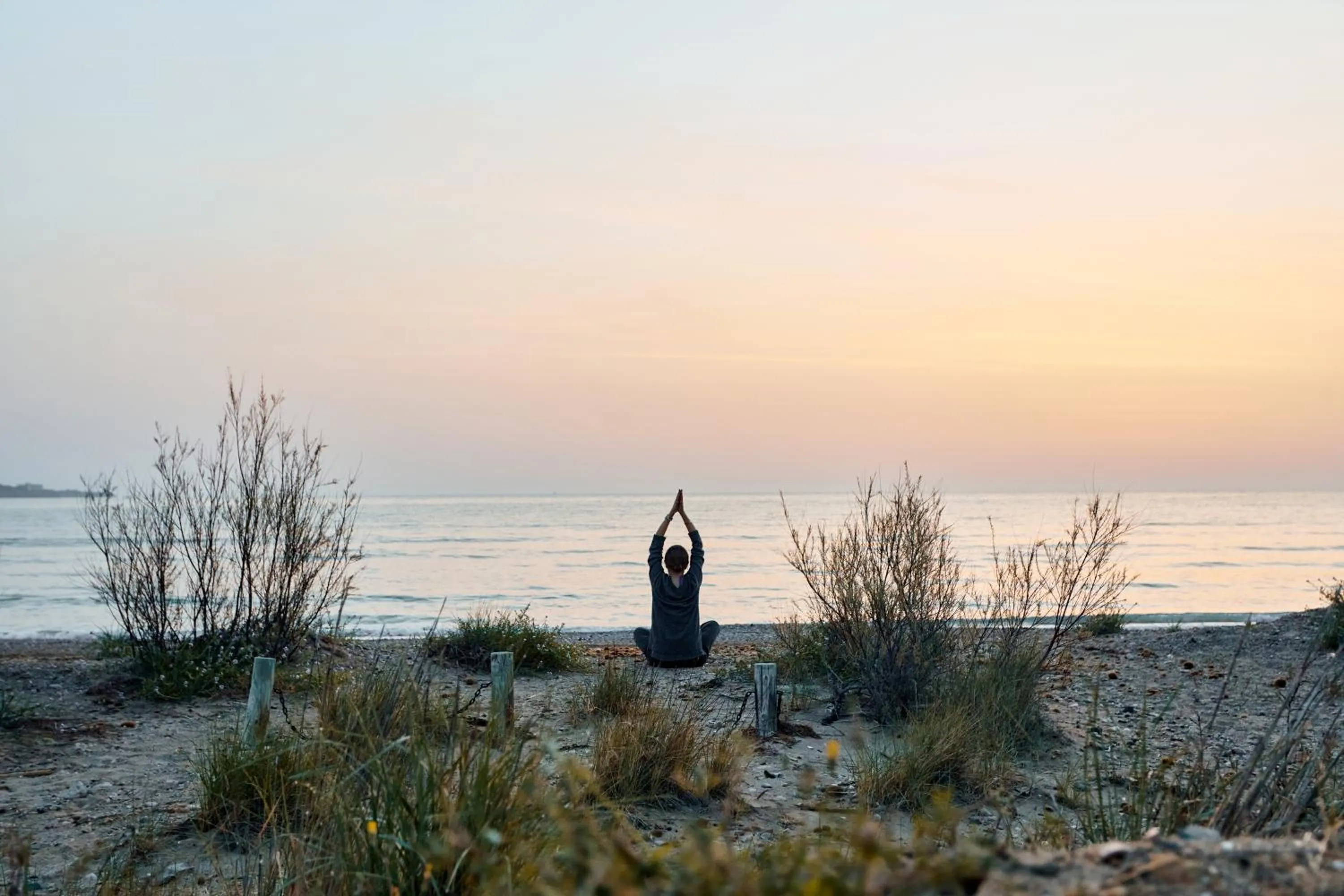 Natural landscape in TAIGA Delta de l'Ebre