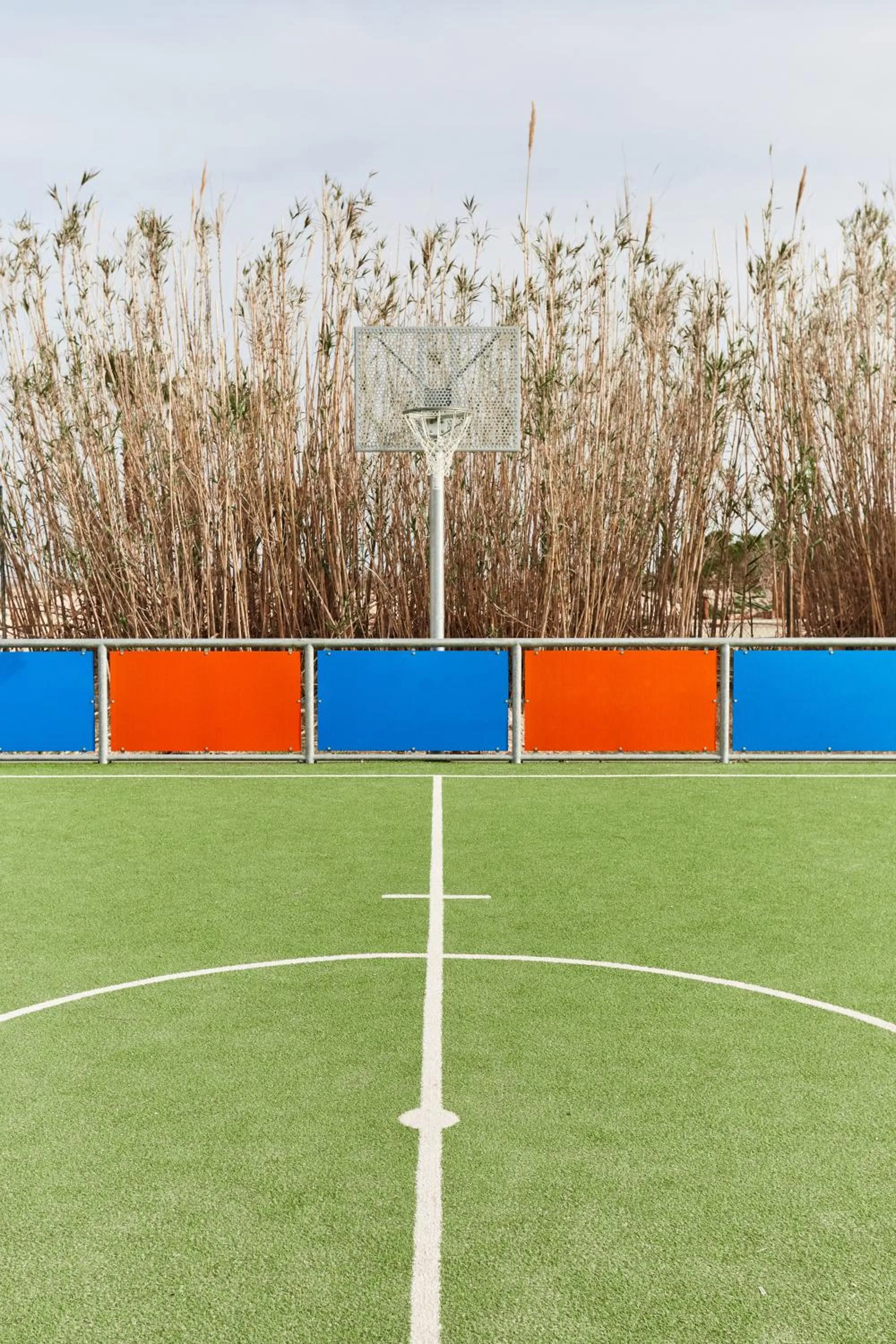 Activities in TAIGA Delta de l'Ebre