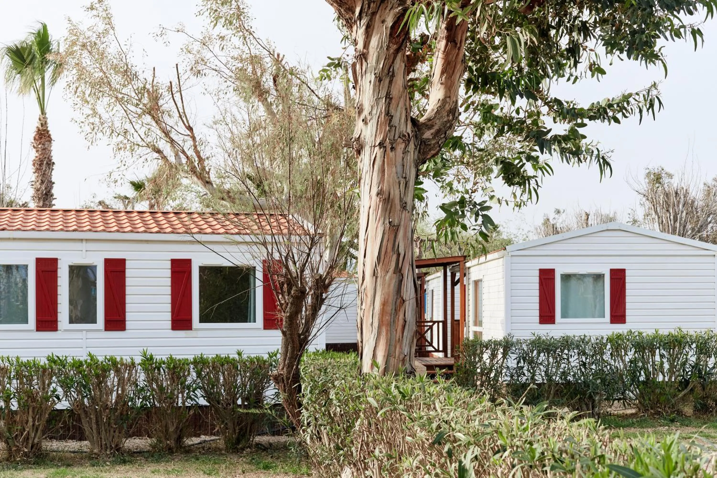 Bungalow Buda Premium (4 p.)  in TAIGA Delta de l'Ebre
