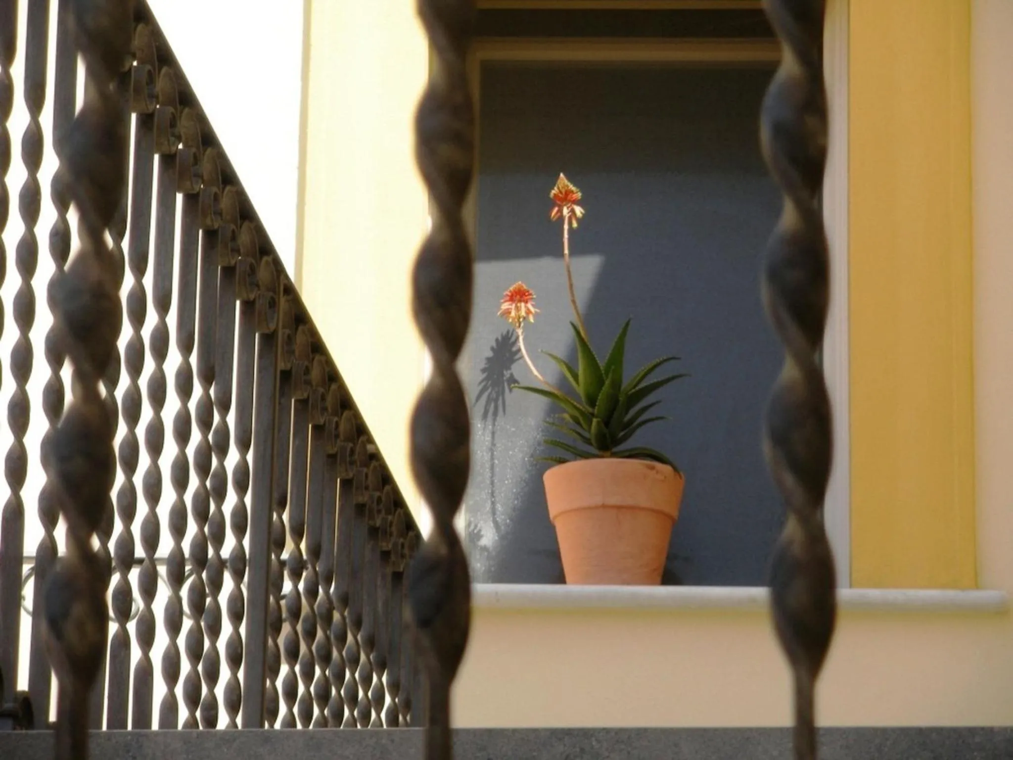 Decorative detail in B&B Case a San Matteo