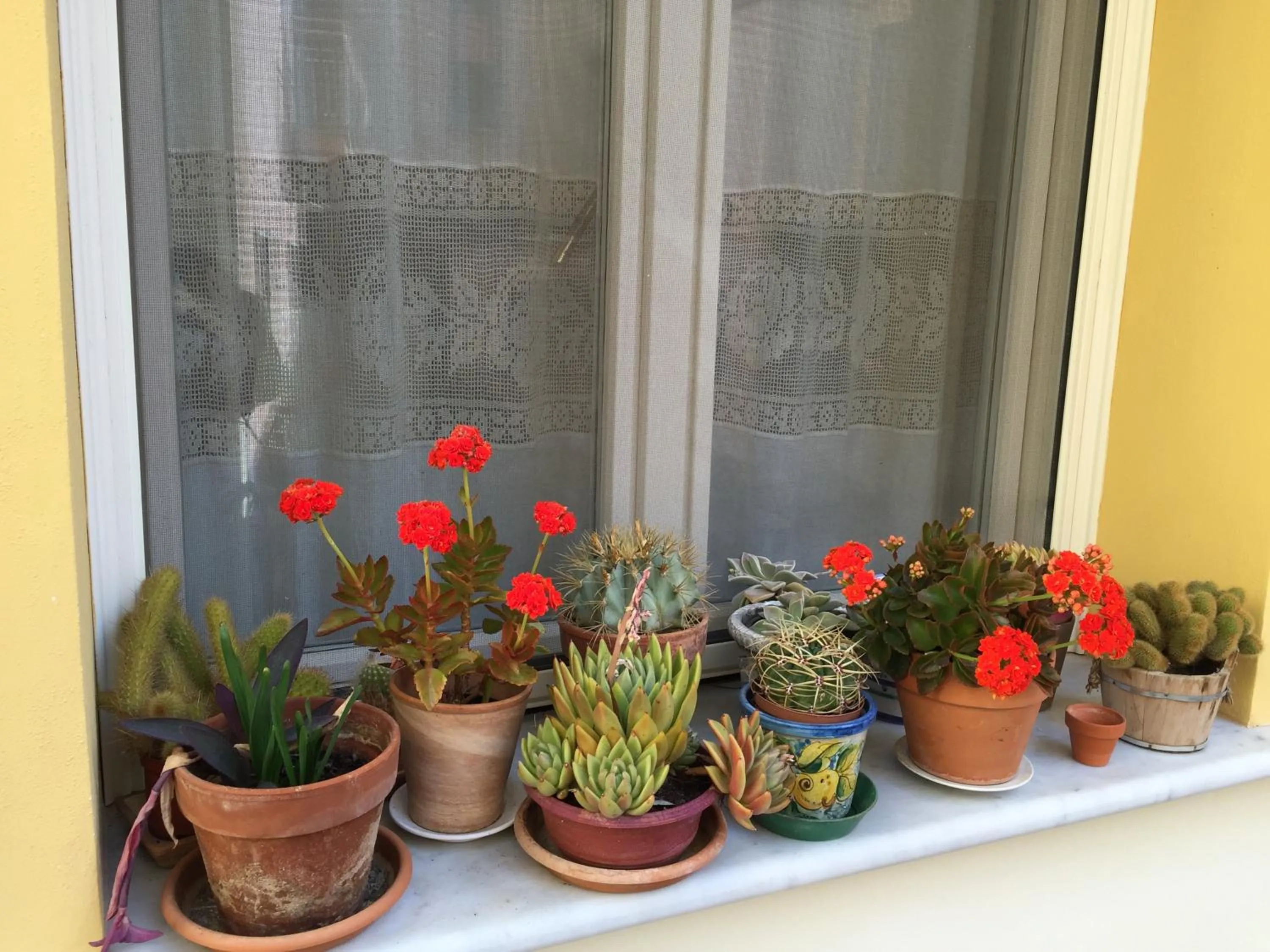 View (from property/room) in B&B Case a San Matteo