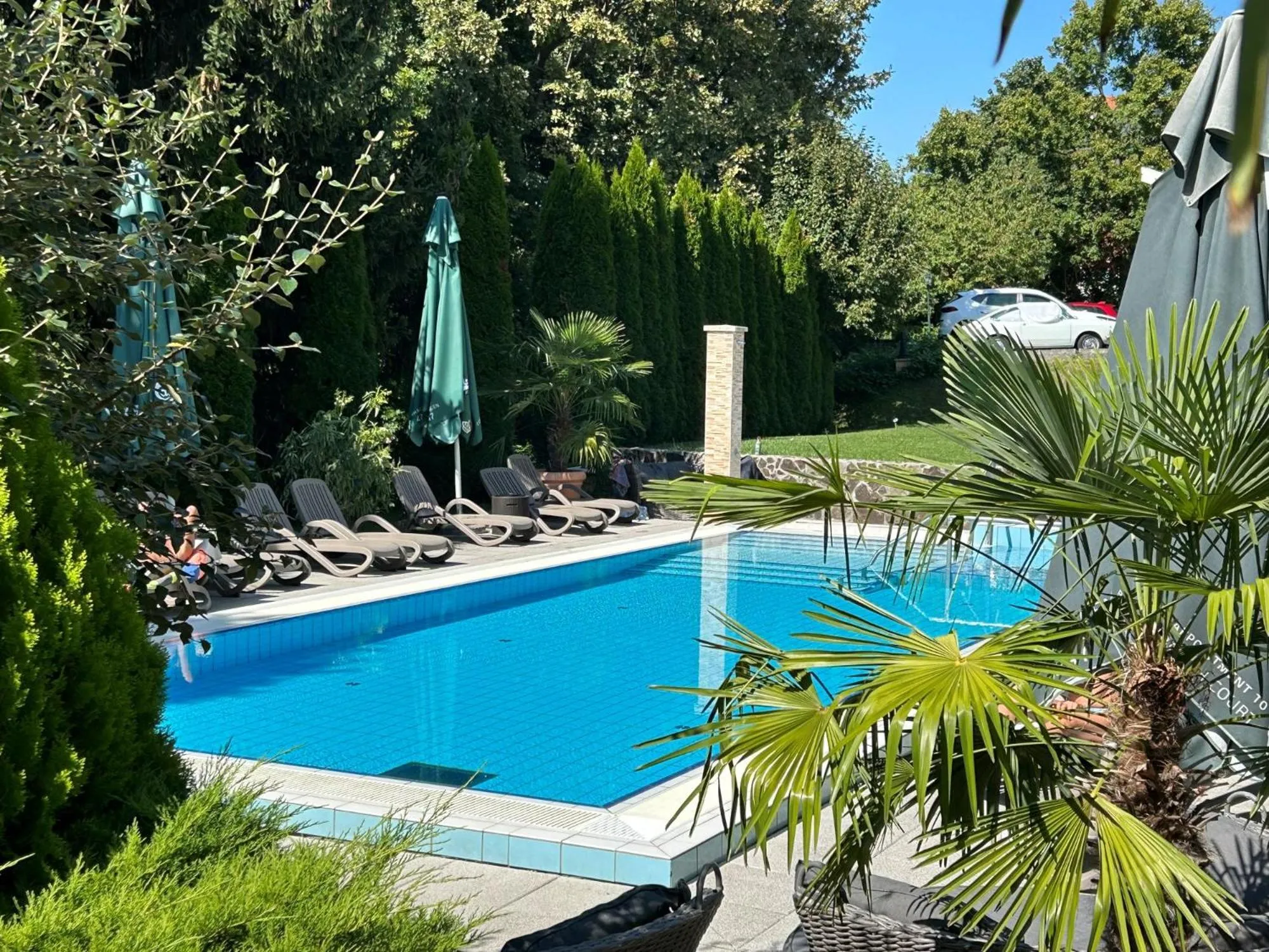 Swimming pool in Calimbra Wellness Hotel Superior