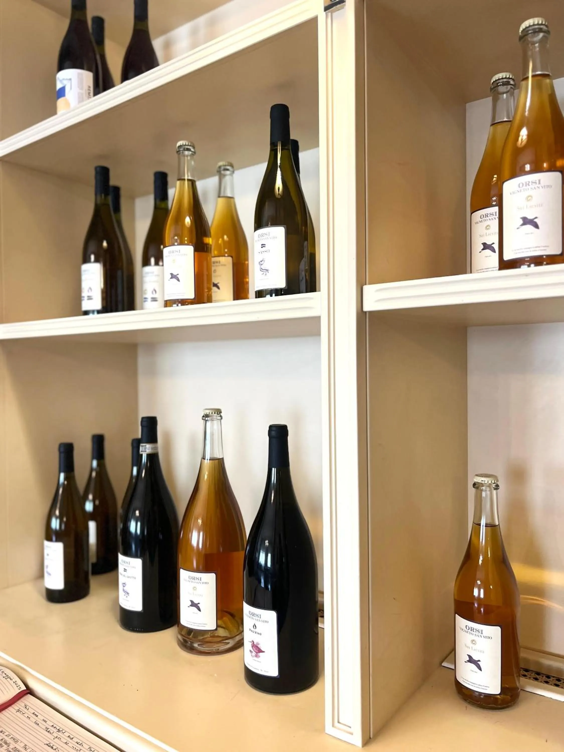 Shopping Area in Casino di Pragatto