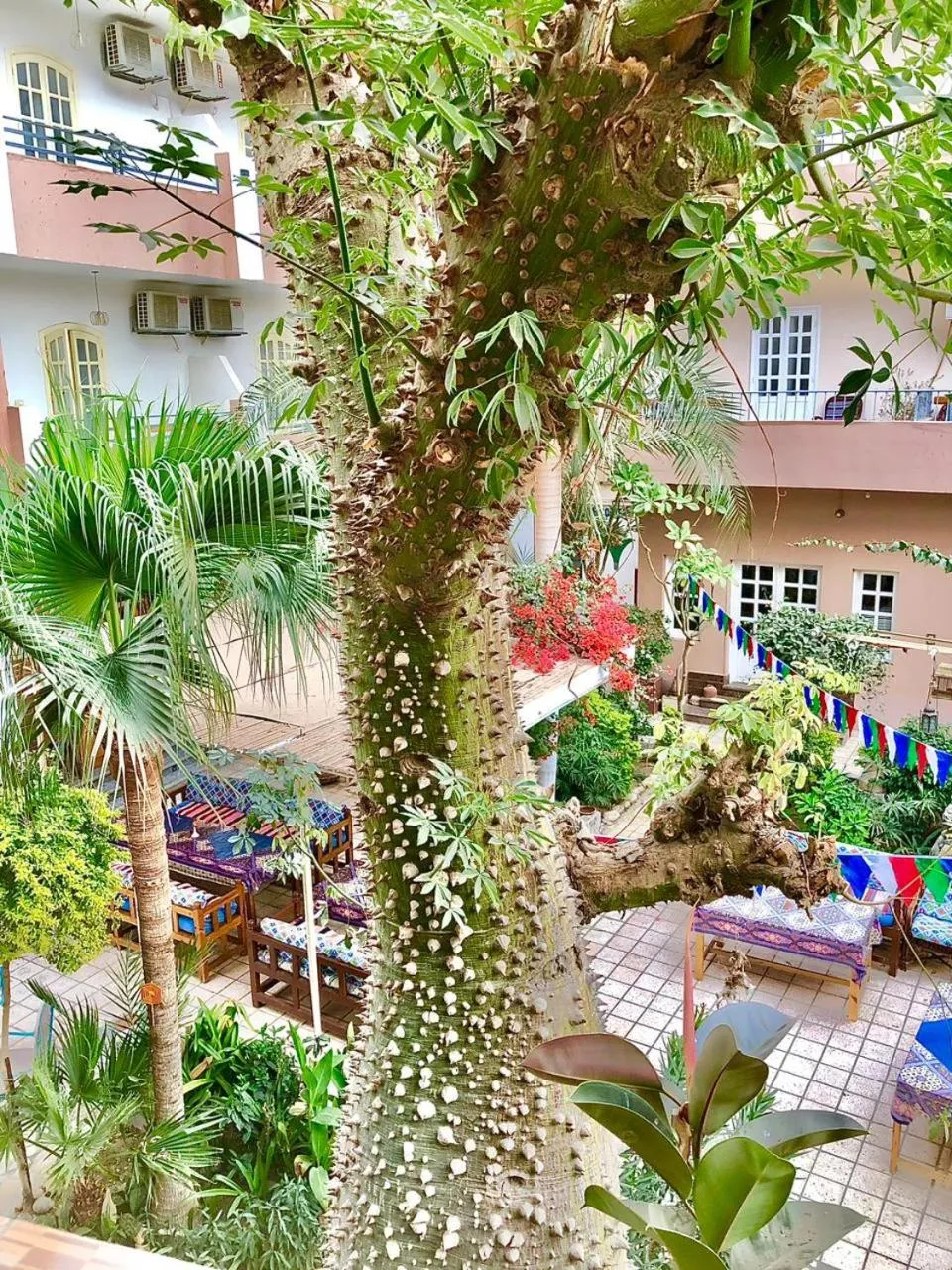 Garden in Amon Hotel