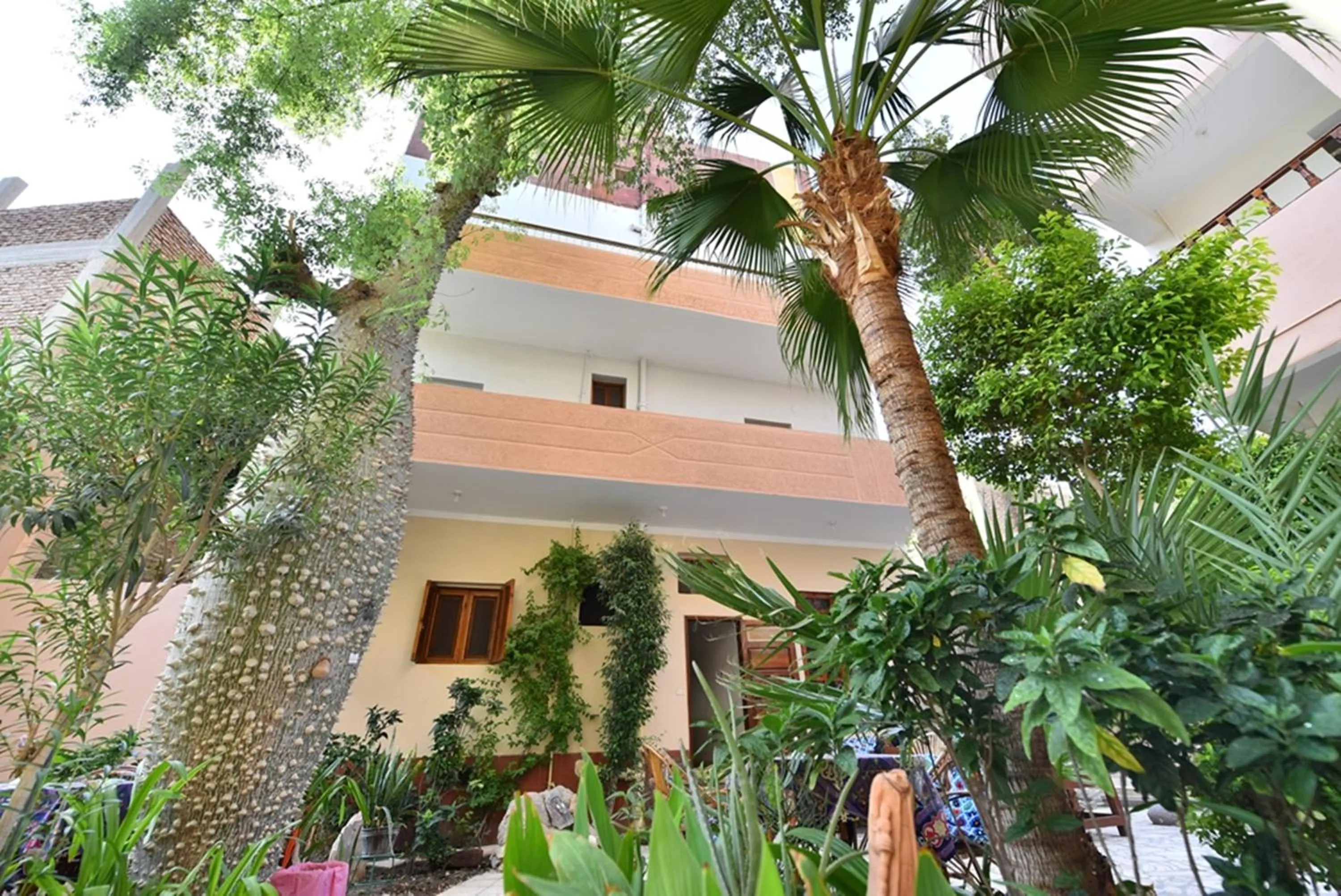 Garden view in Amon Hotel