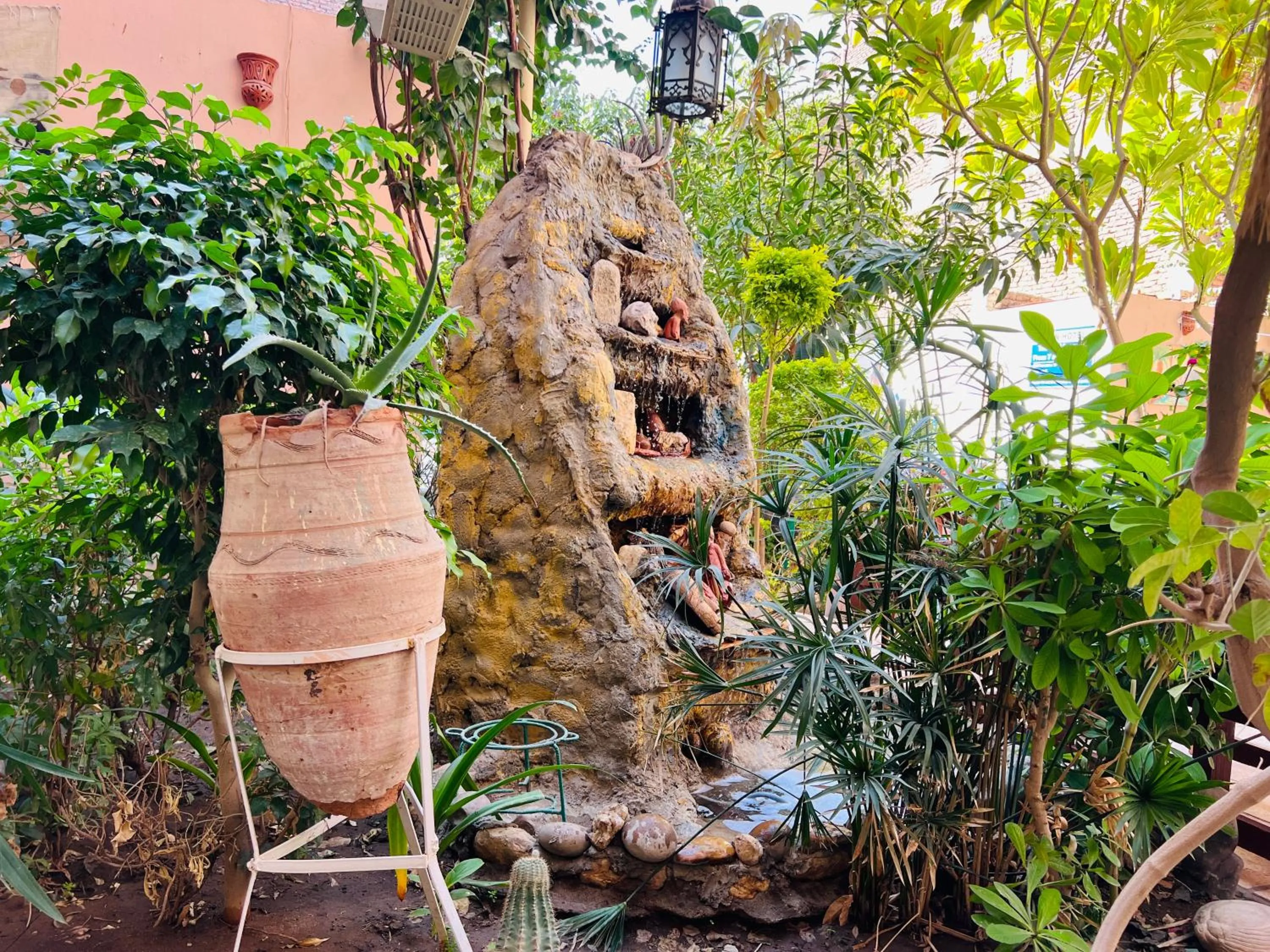 Garden in Amon Hotel