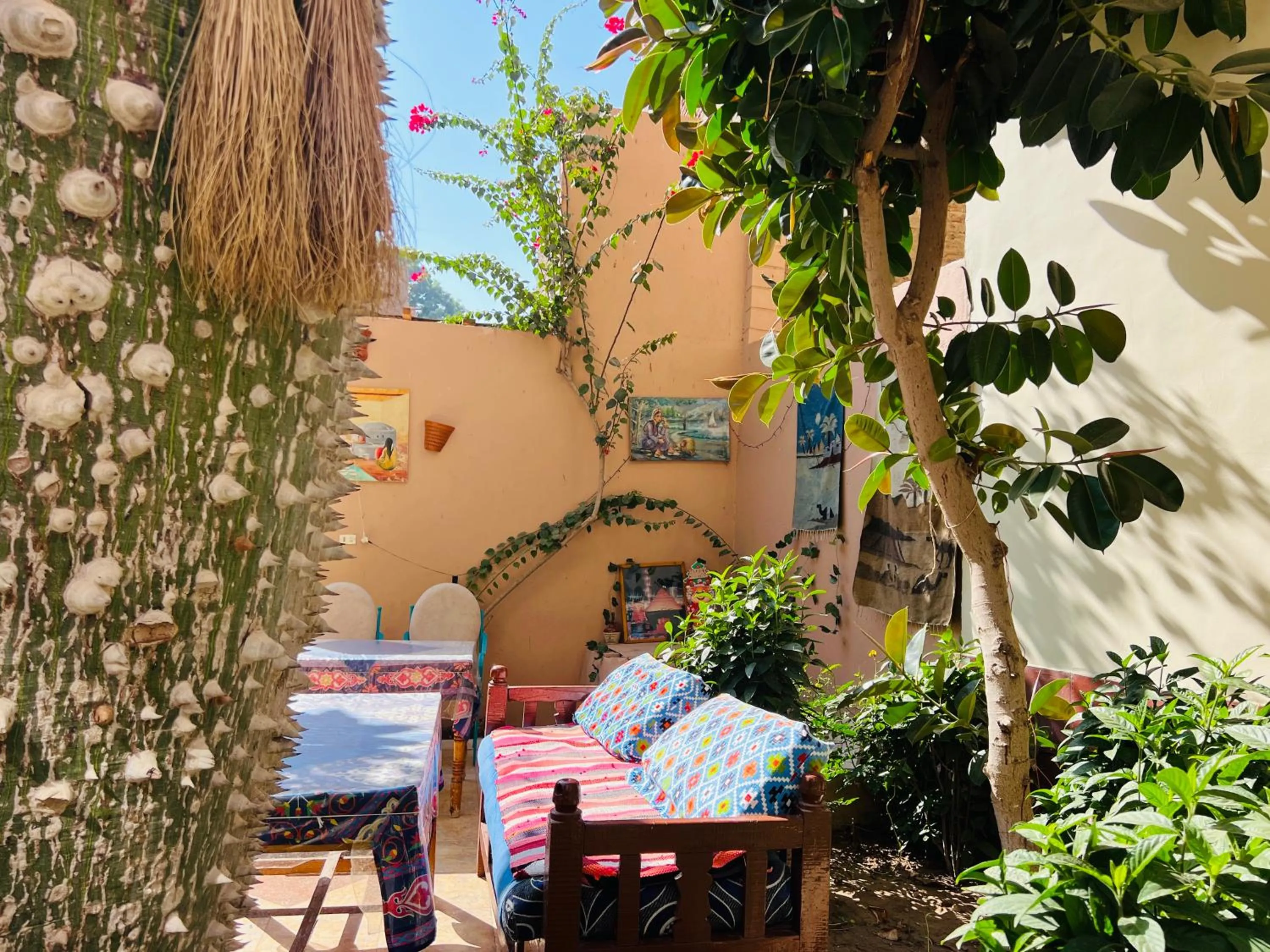 Garden view in Amon Hotel