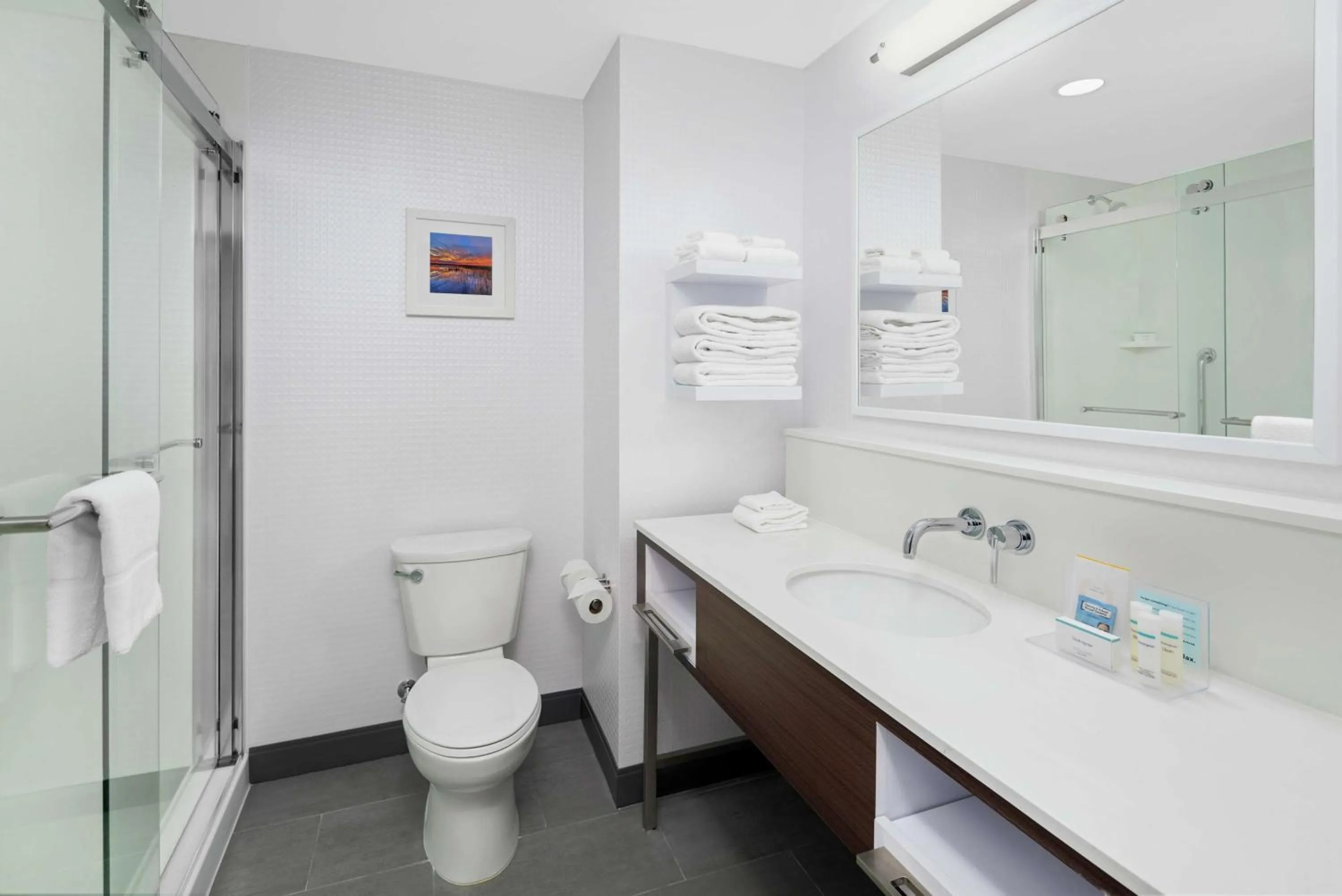 Bathroom in Hampton Inn Sikeston