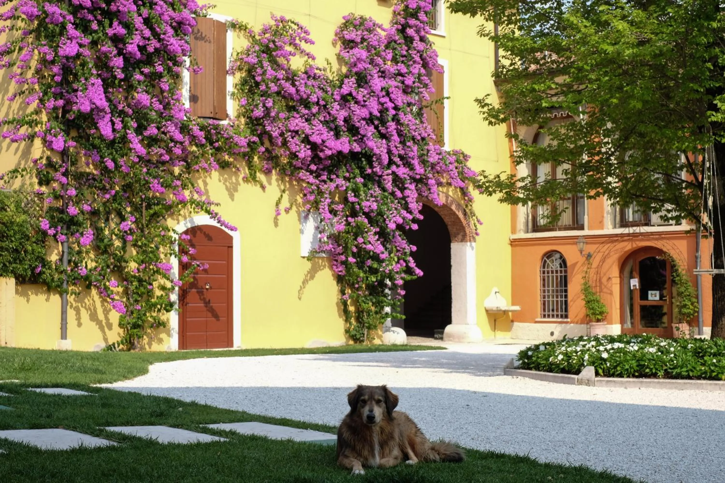 Garden in Agriturismo La Filanda