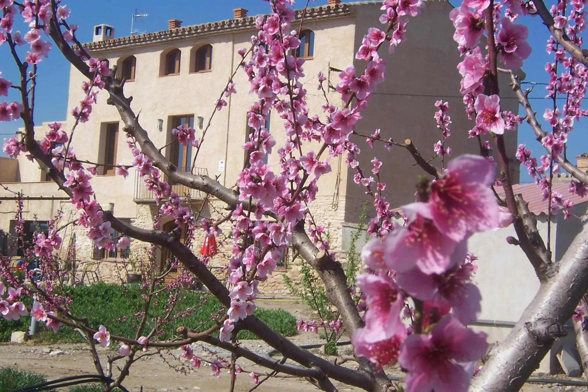 Facade/entrance in Mas Taniet Hotel Rural