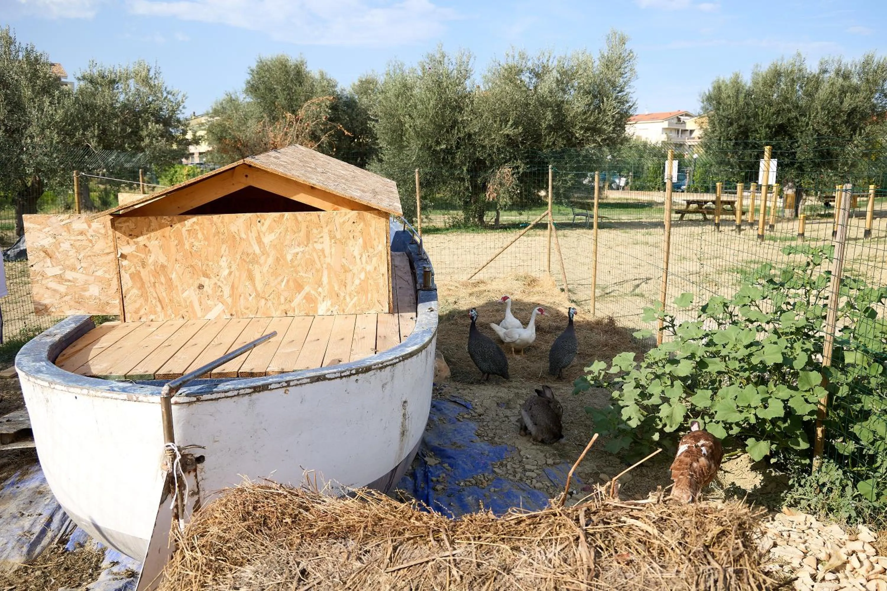 Garden in Hotel Villa Elena
