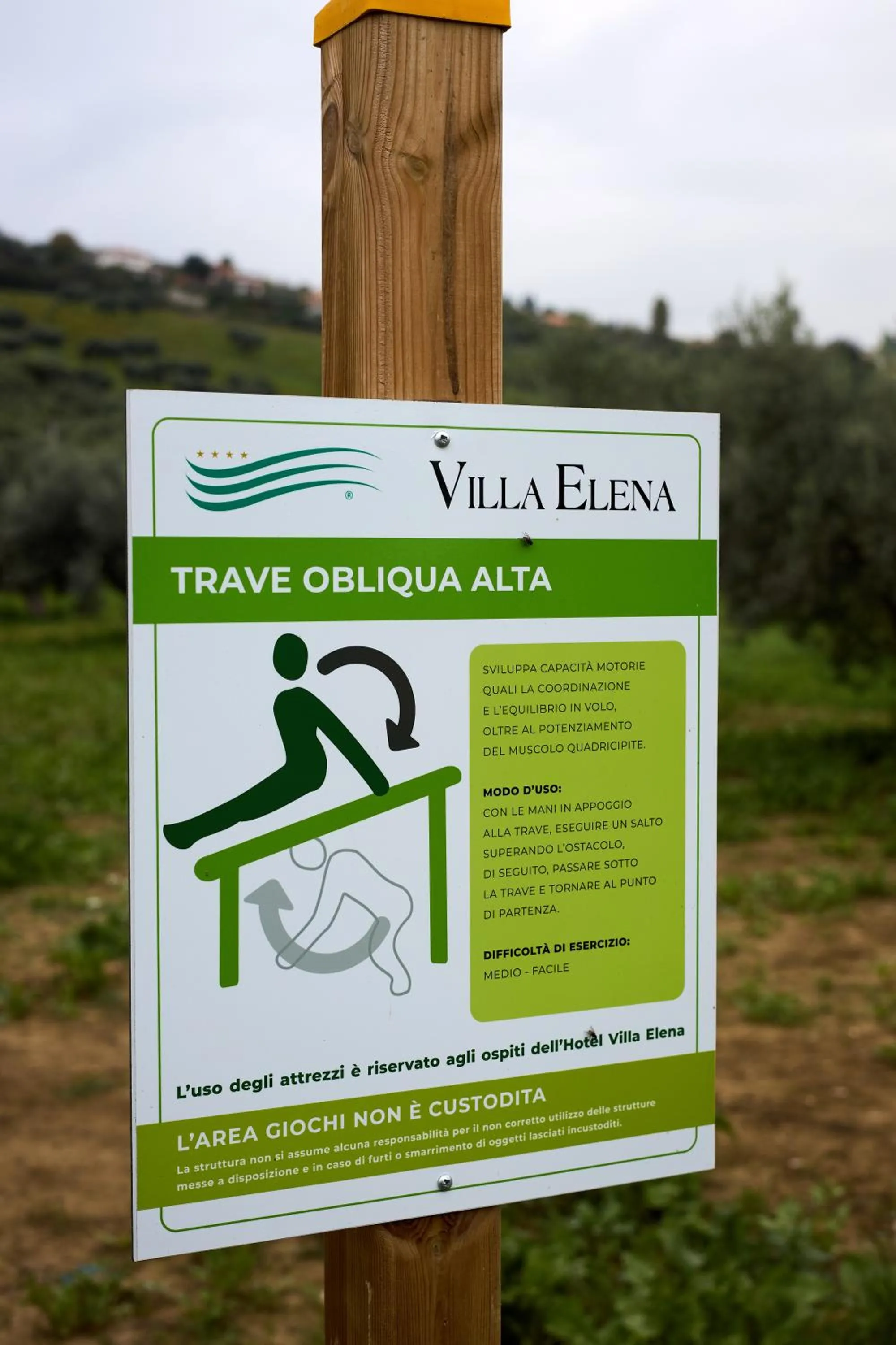 Garden in Hotel Villa Elena