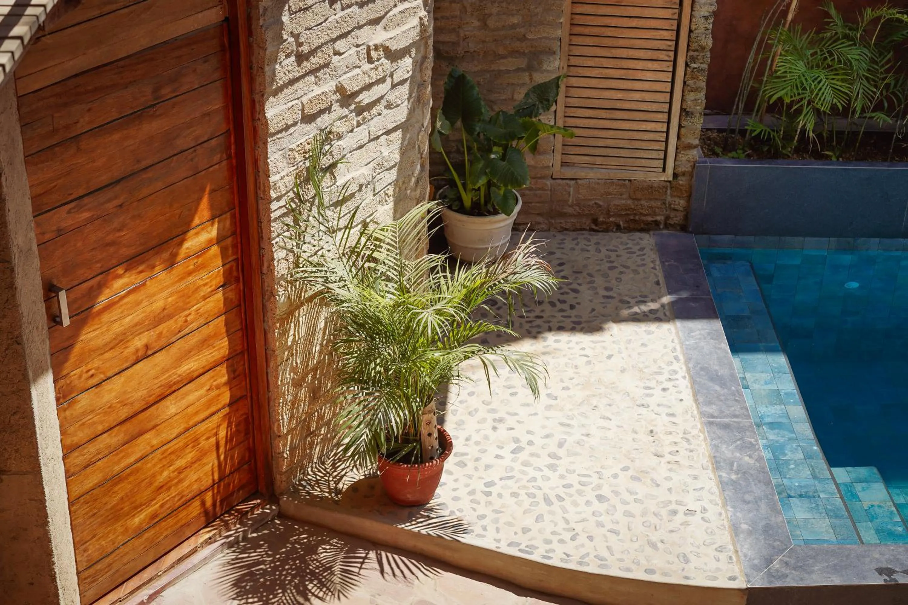 Day in Eco Lodge Mancora