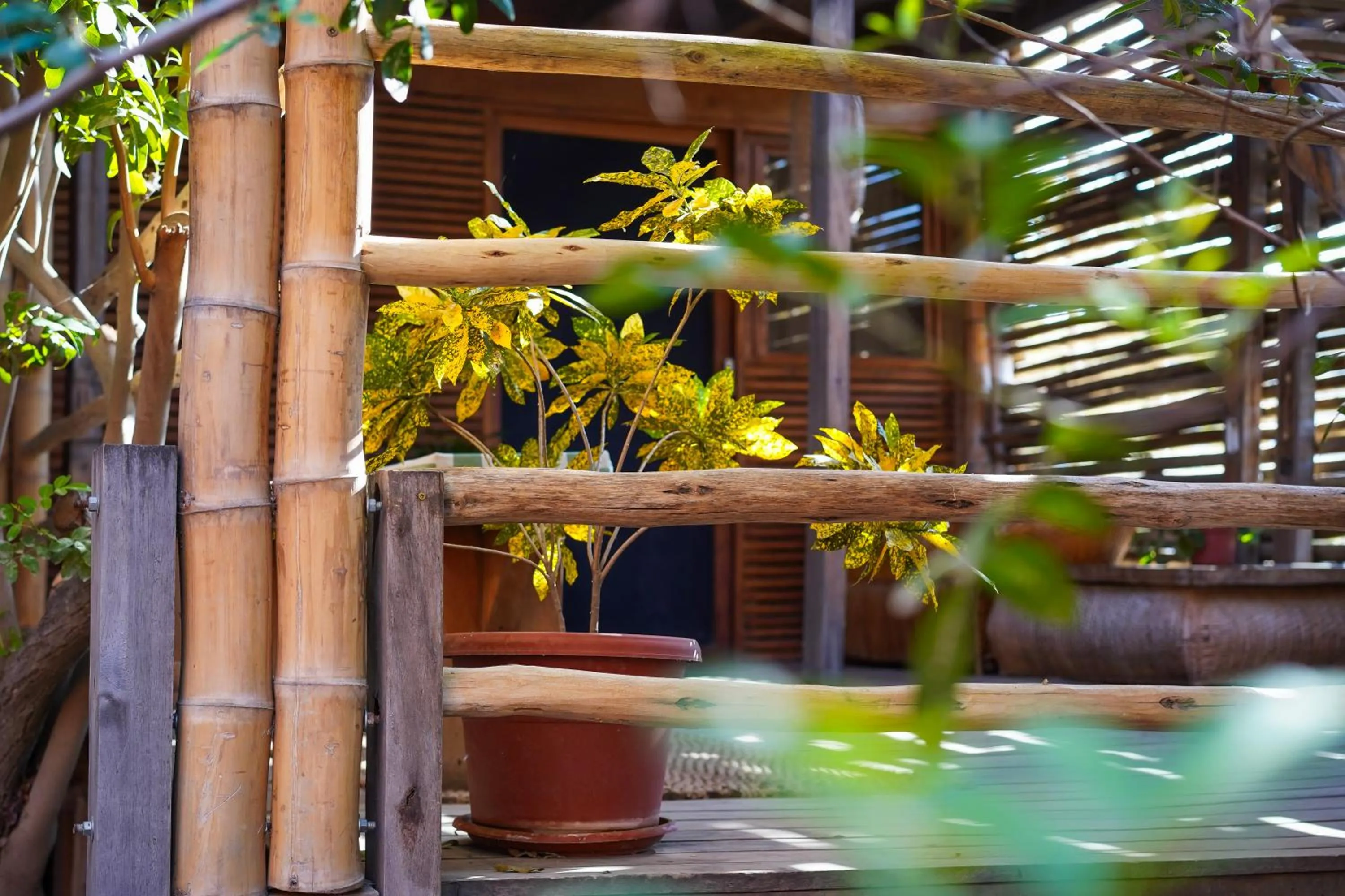 Garden in Eco Lodge Mancora