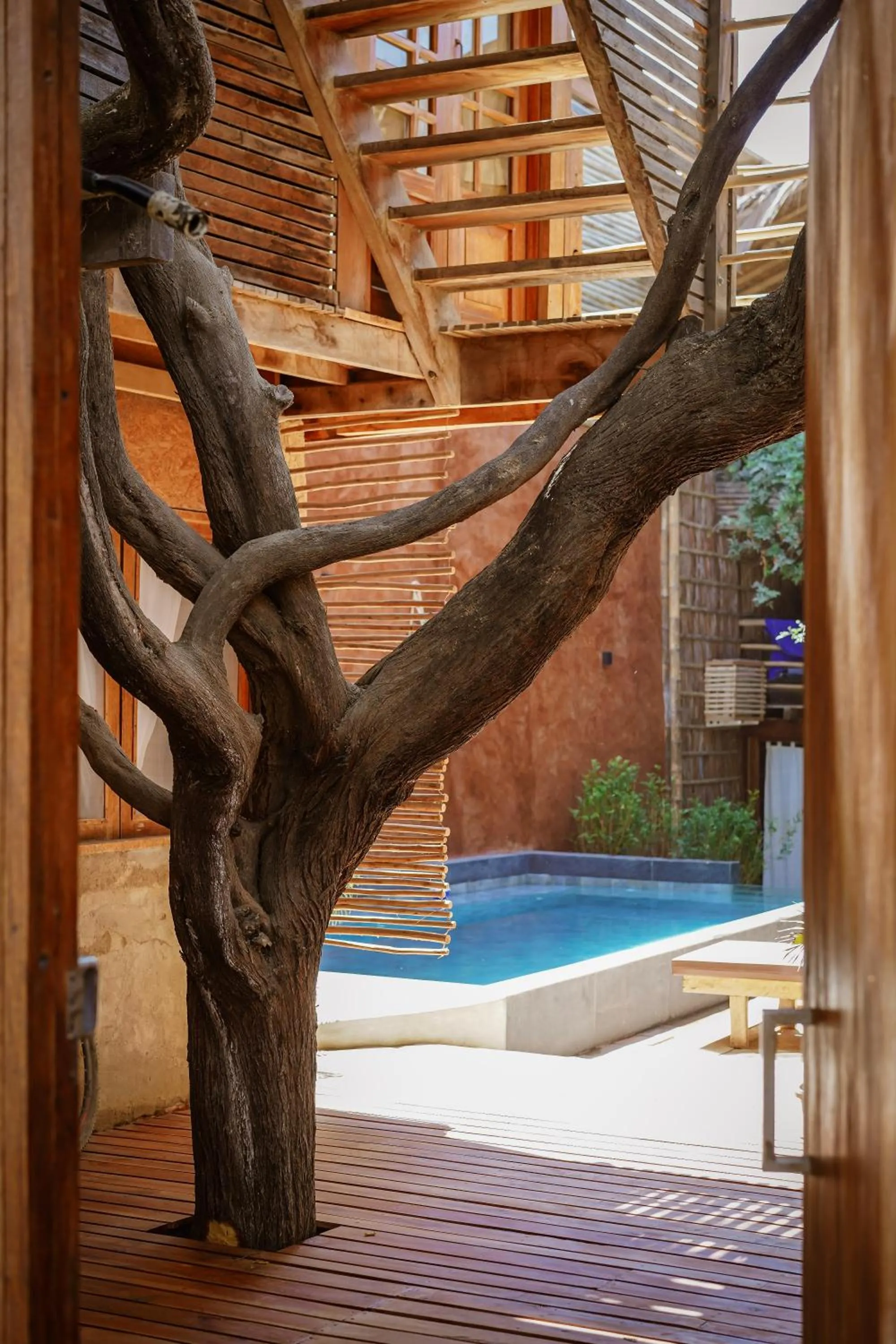 Patio in Eco Lodge Mancora