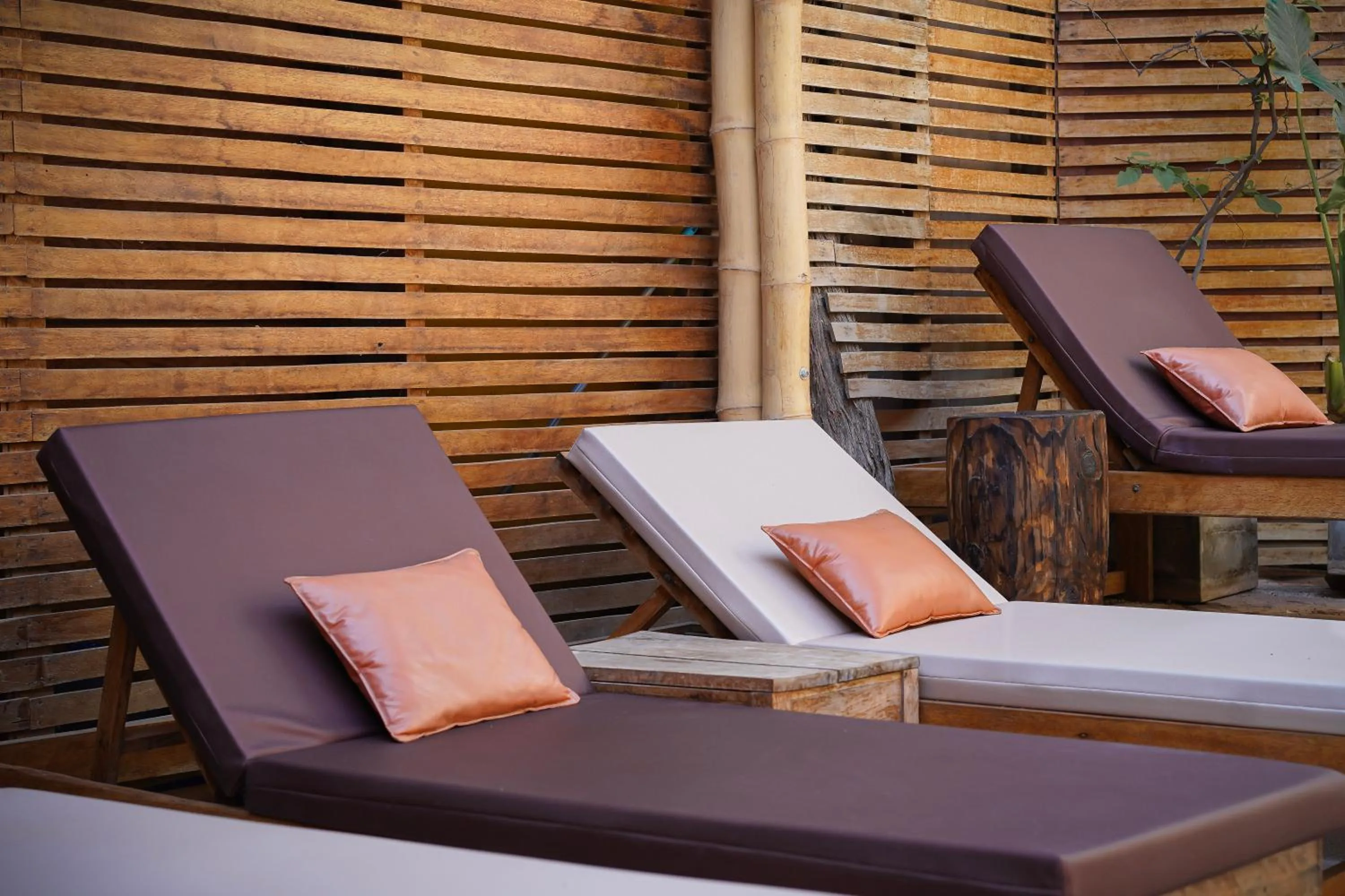 Day in Eco Lodge Mancora