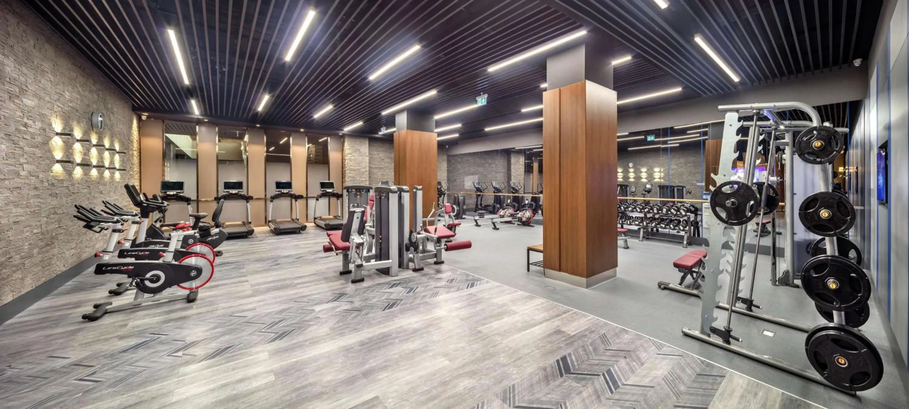Fitness centre/facilities in DoubleTree By Hilton Skopje