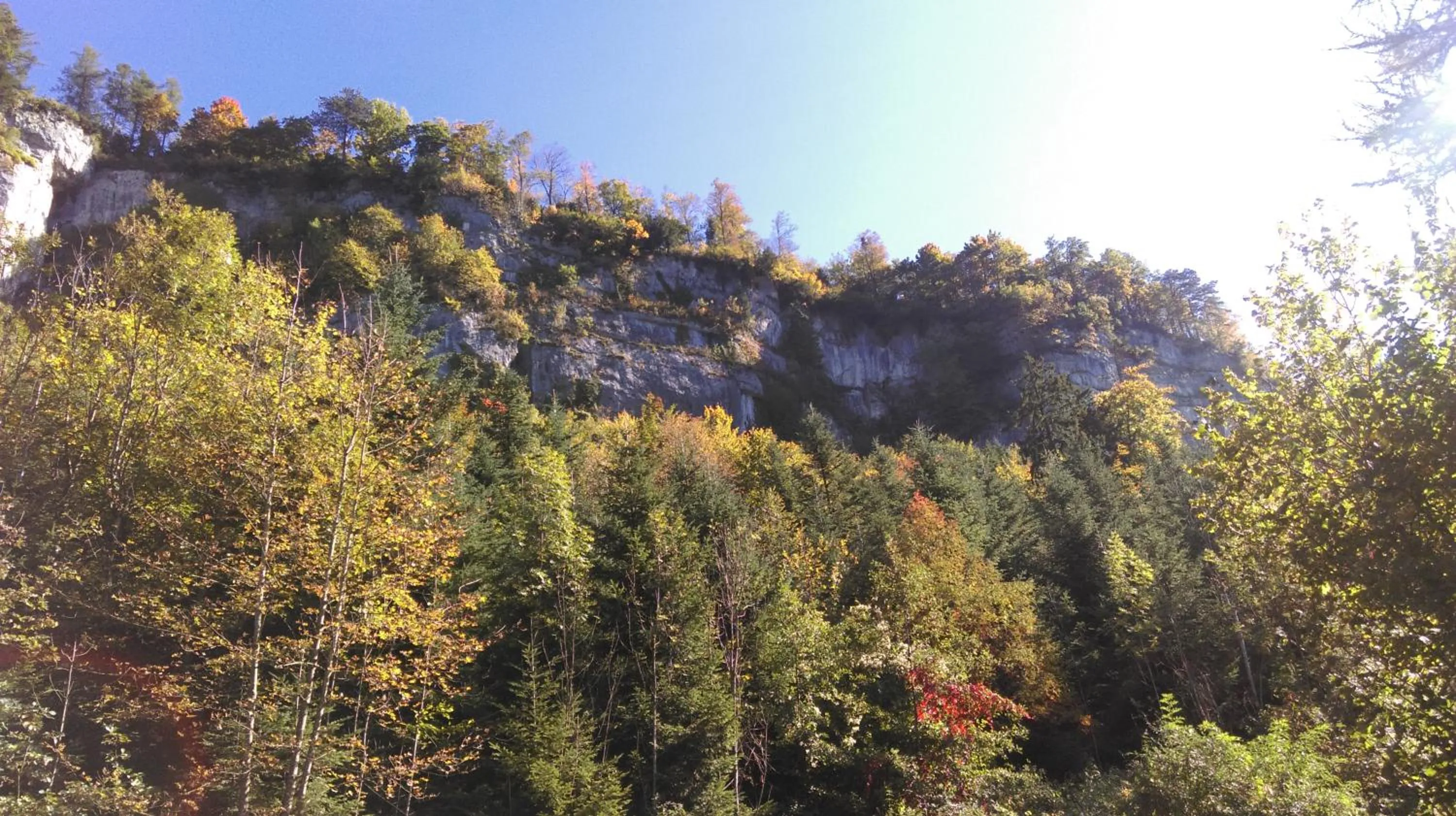 Garden in B&B Hotel Mattli Übernachtung Frühstück