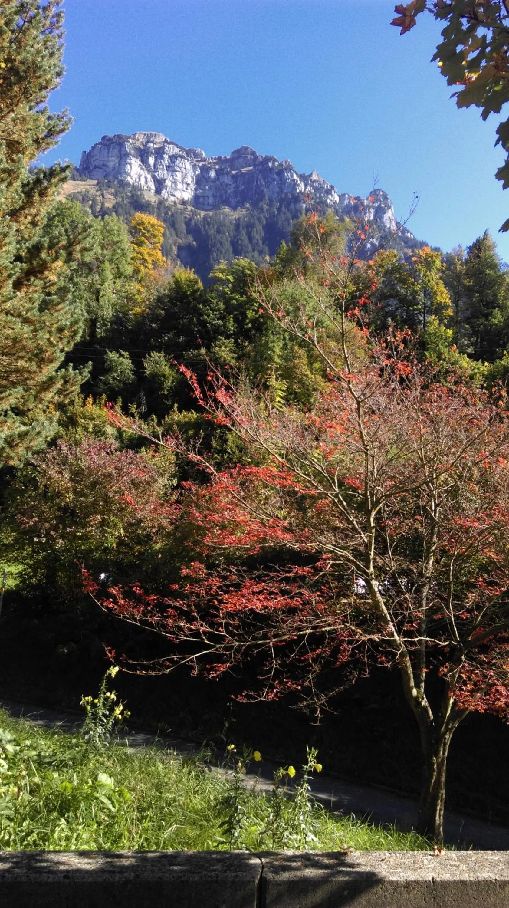 Hiking in B&B Hotel Mattli Übernachtung Frühstück