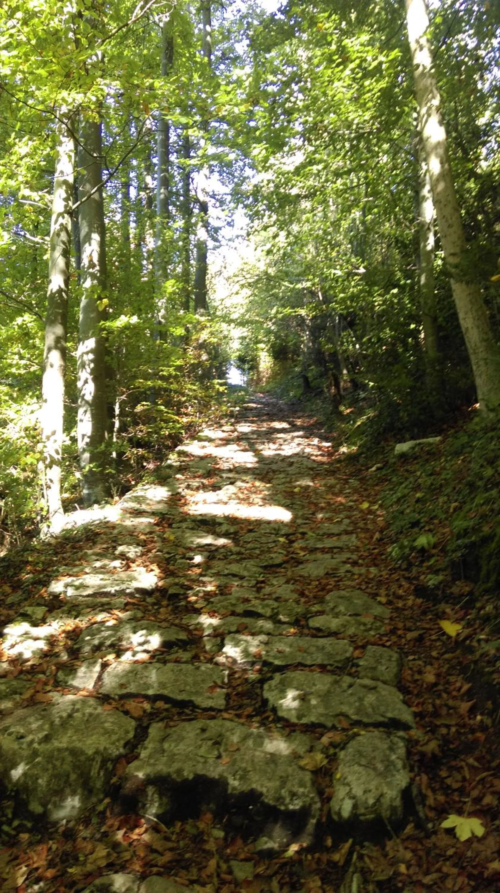 Hiking in B&B Hotel Mattli Übernachtung Frühstück