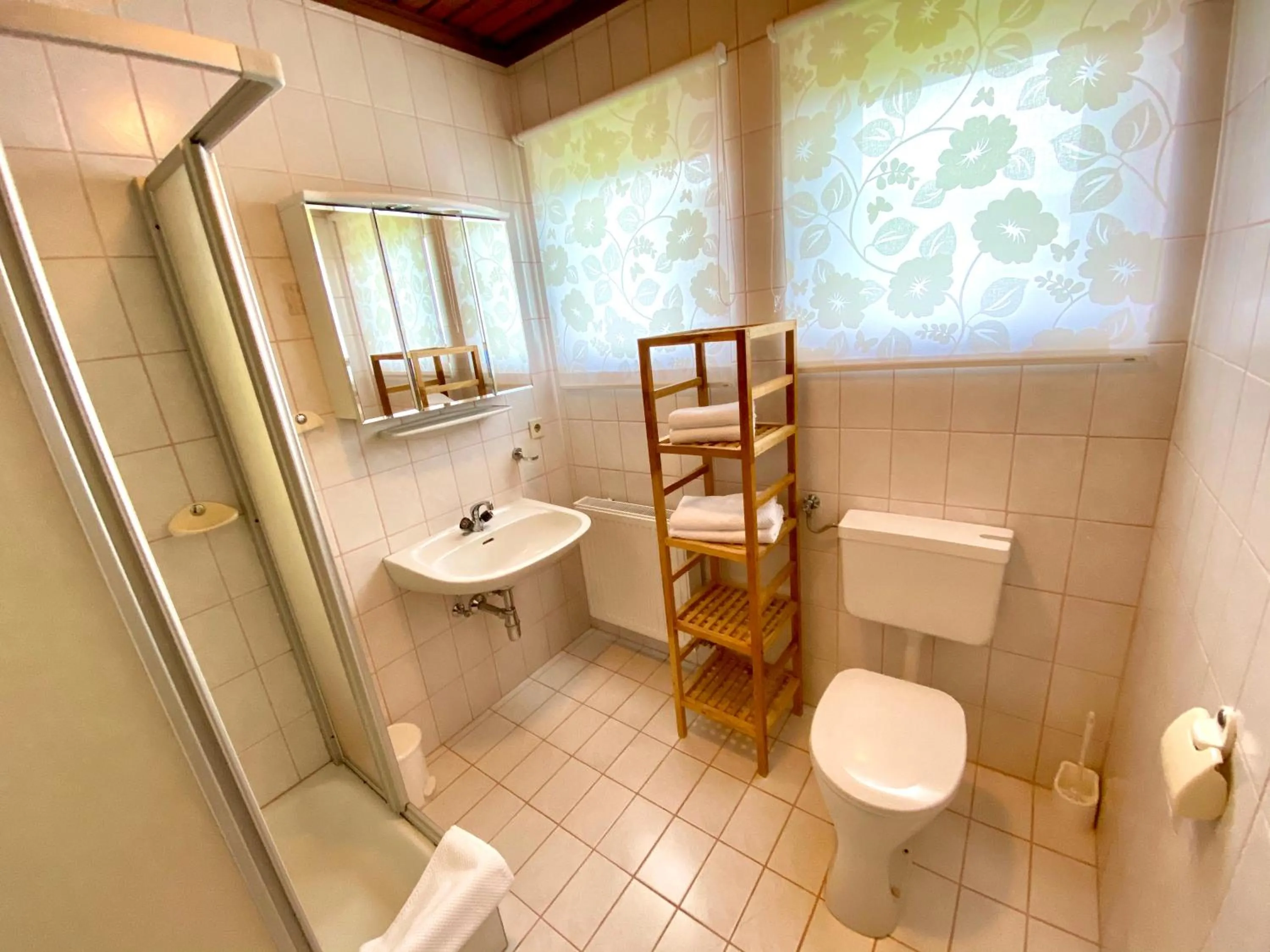 Bathroom in Pleschinhof