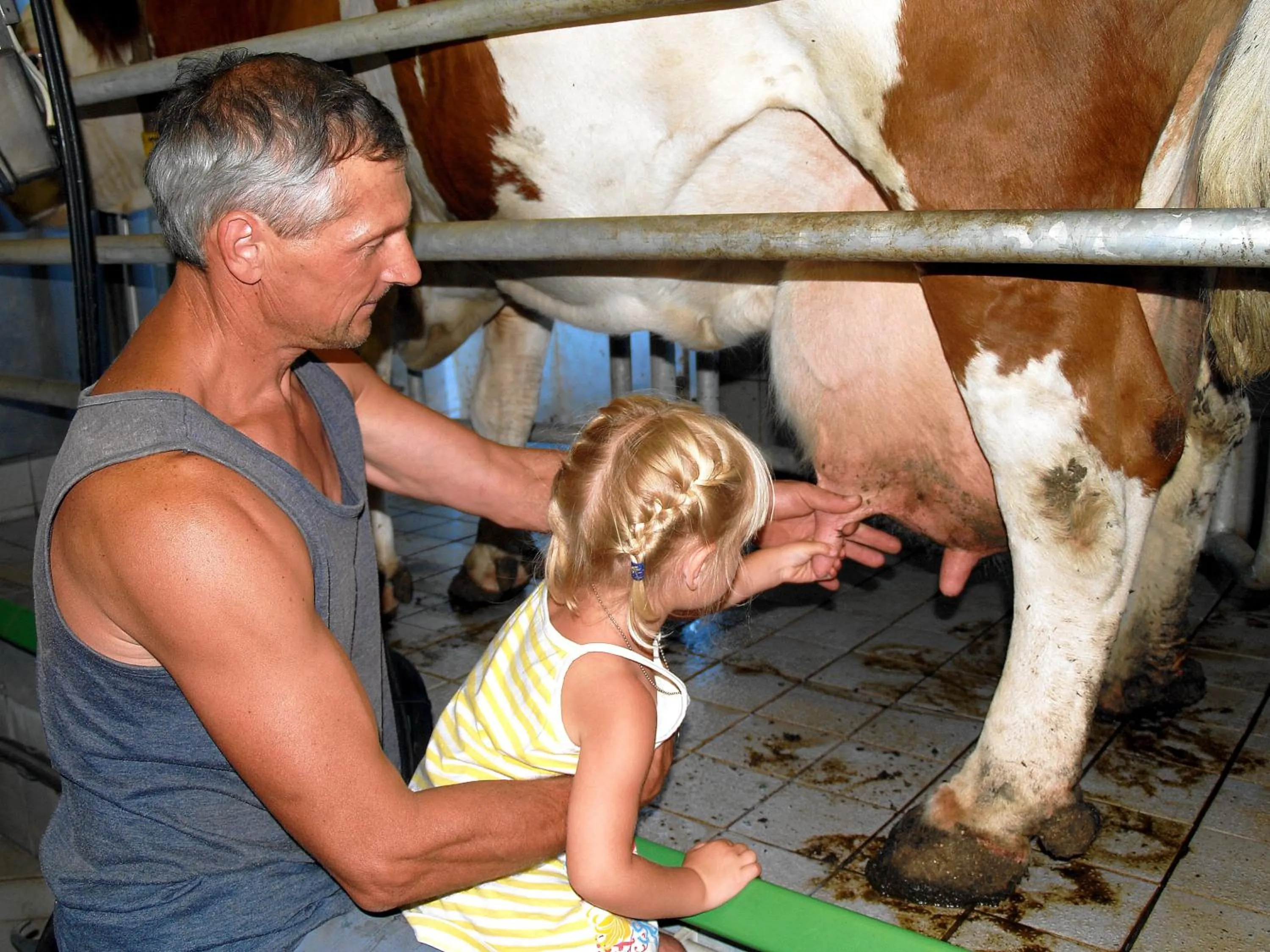 Animals in Pleschinhof