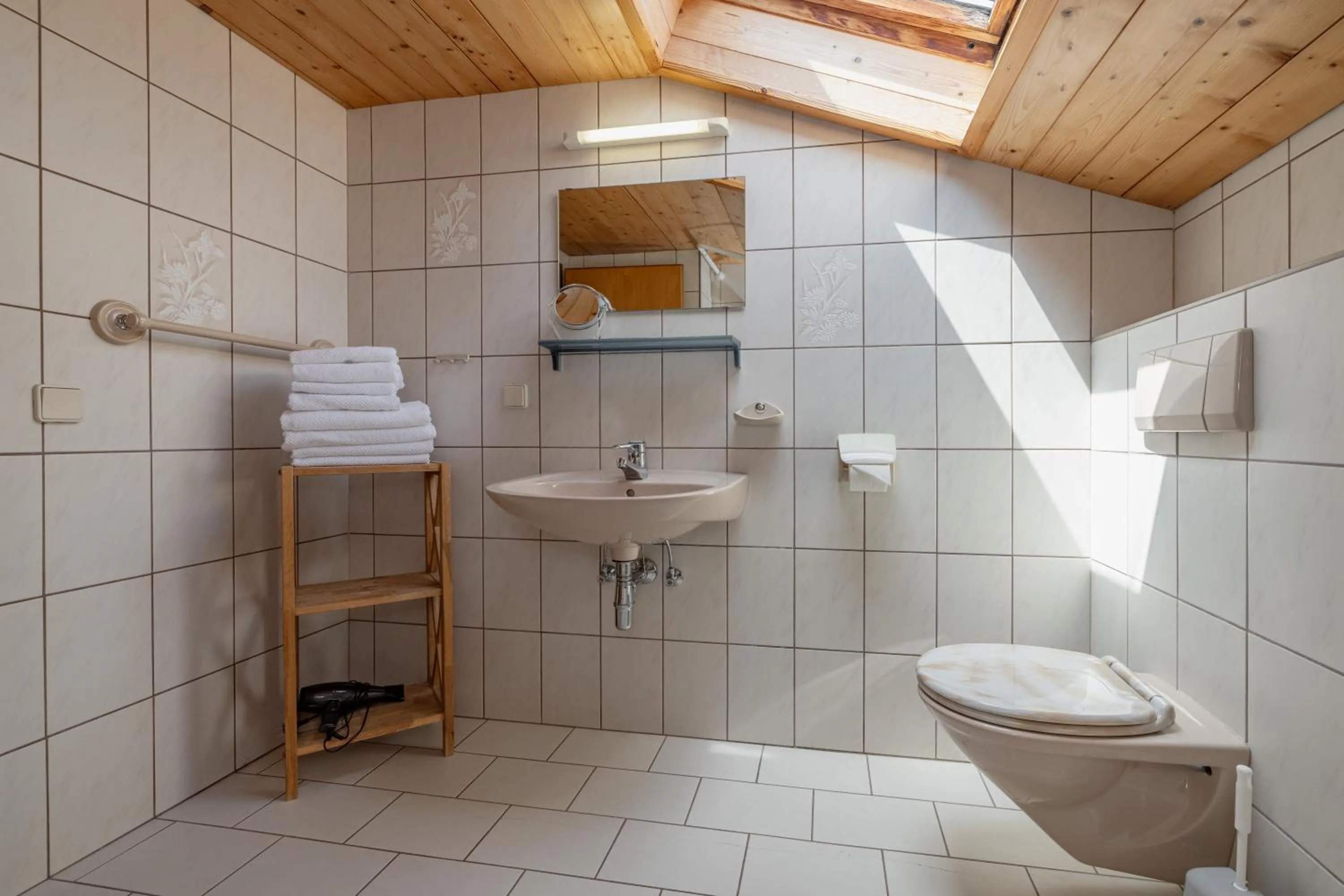 Shower in Pleschinhof