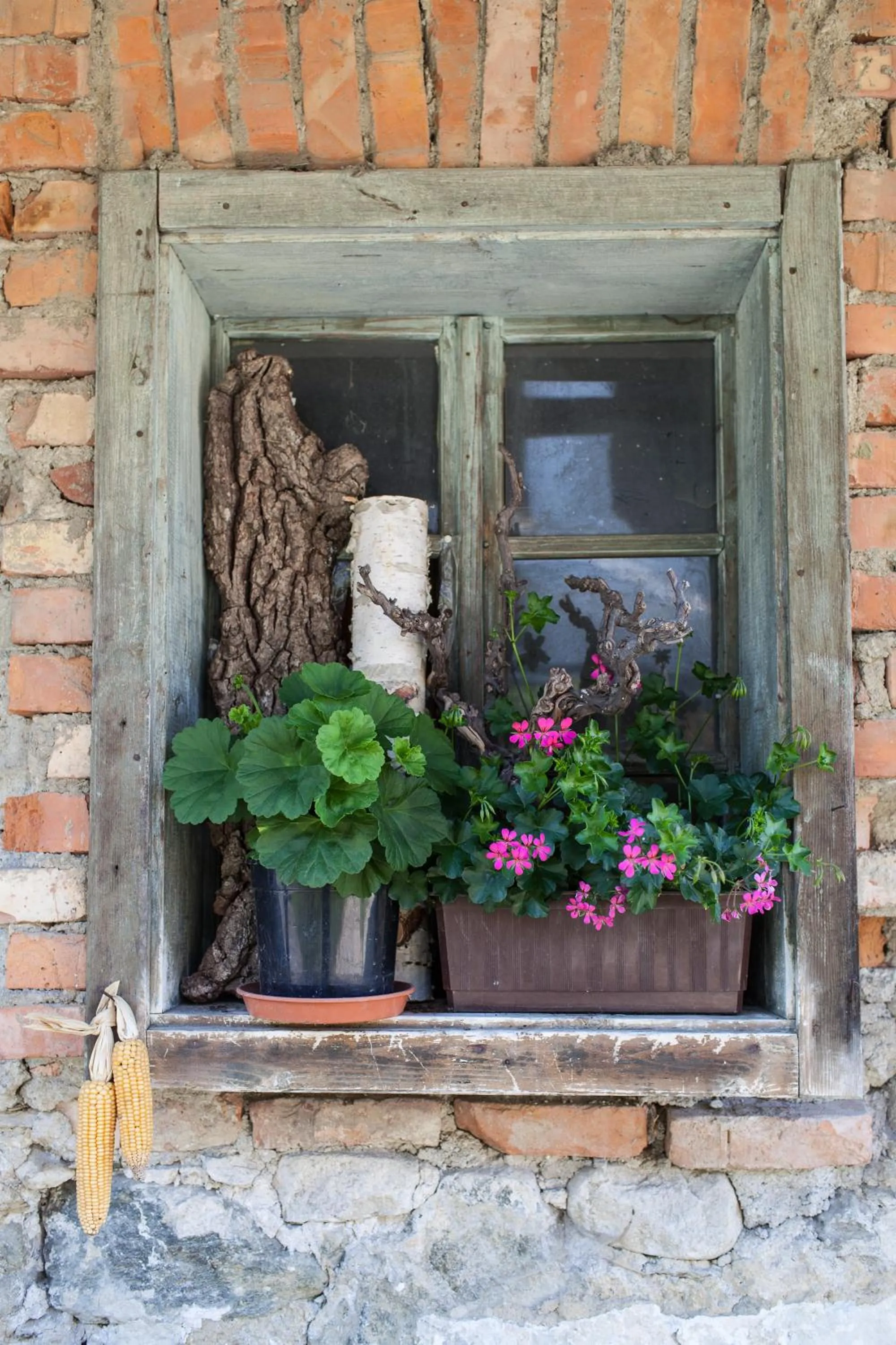 Other in Pleschinhof