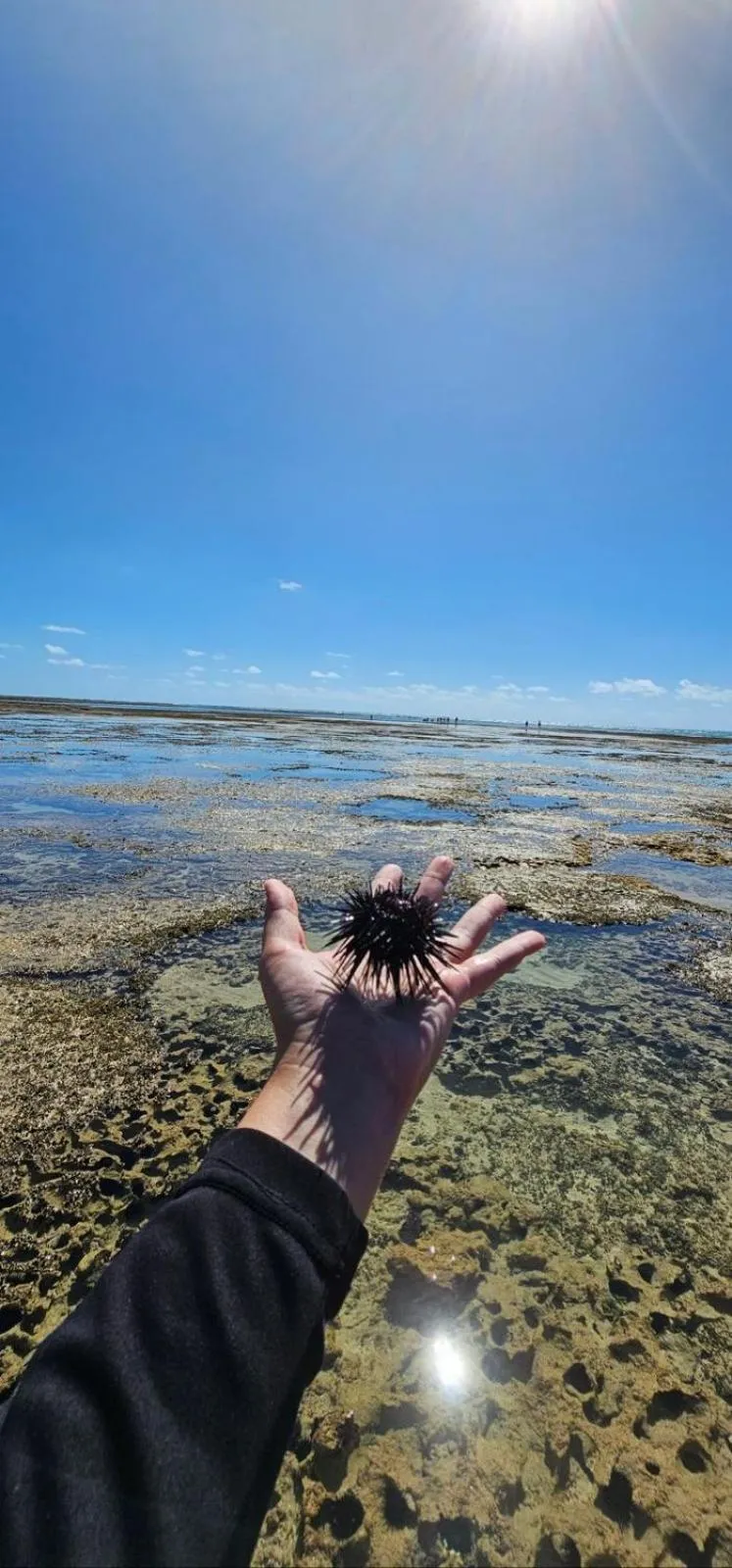 Natural landscape in Flats Parada Obrigatoria