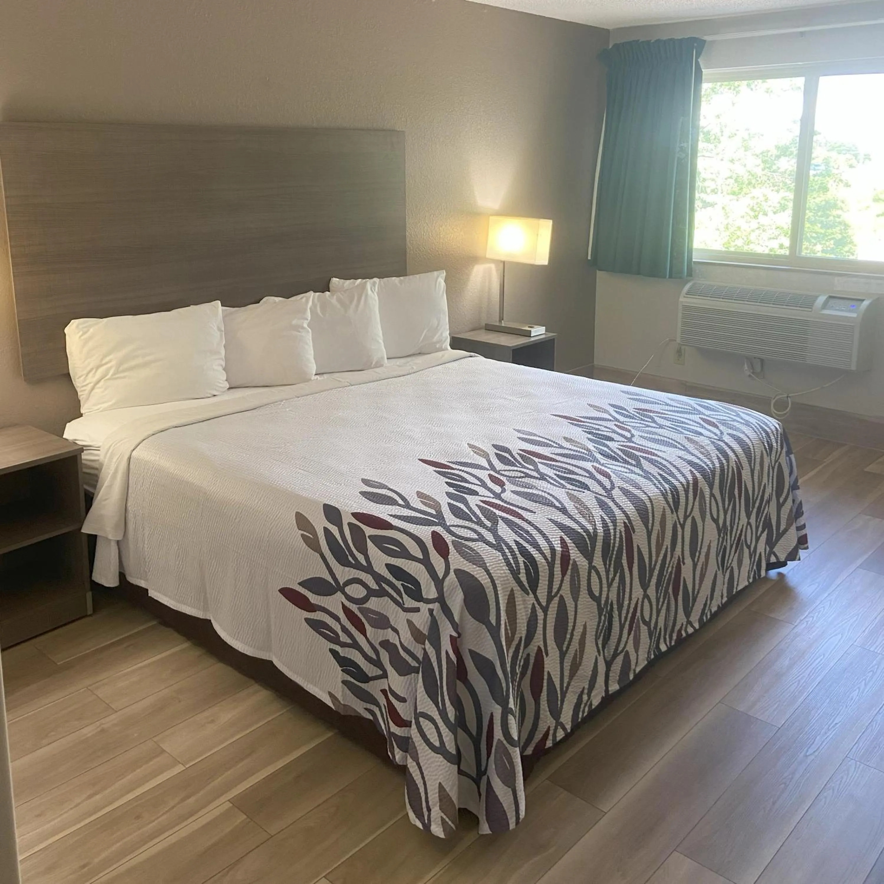 Photo of the whole room, Bed in Red Roof Inn Queensbury