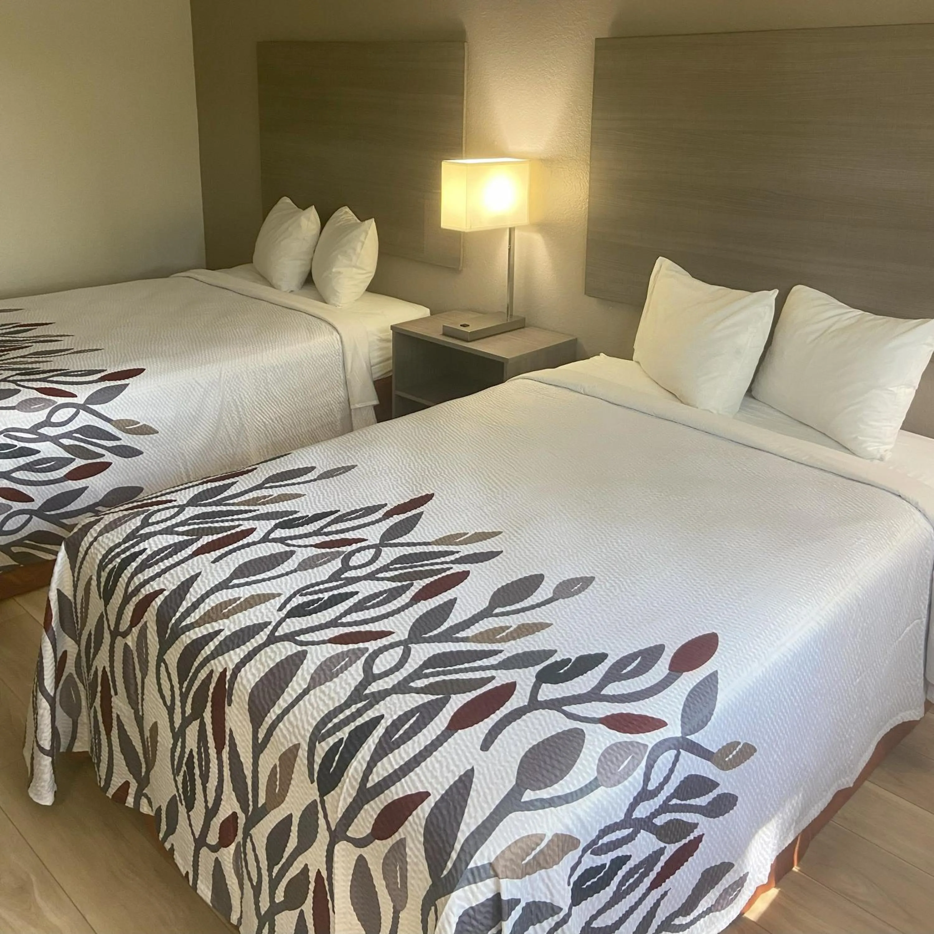 Photo of the whole room, Bed in Red Roof Inn Queensbury