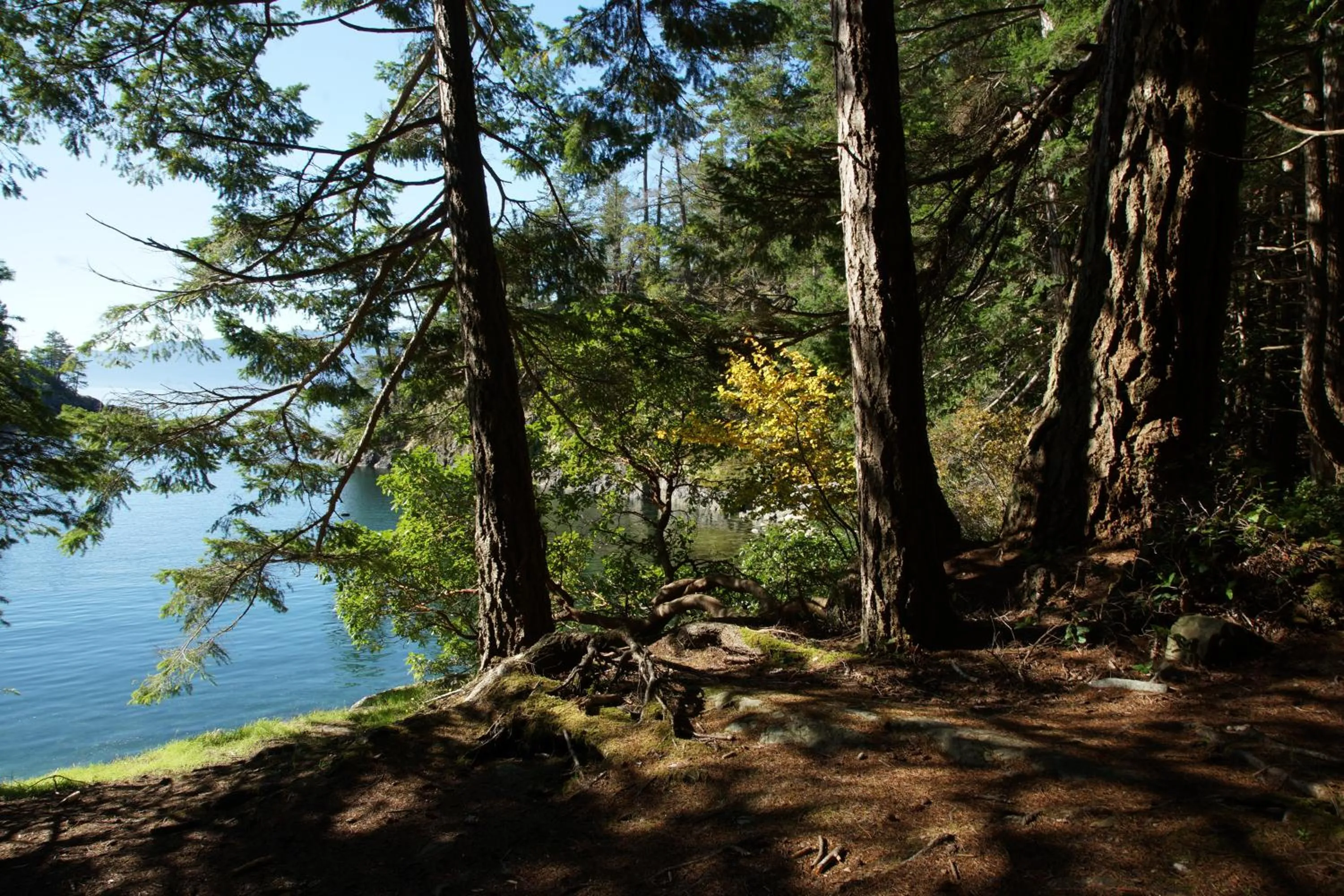 Natural landscape in Painted Boat Resort Spa and Marina