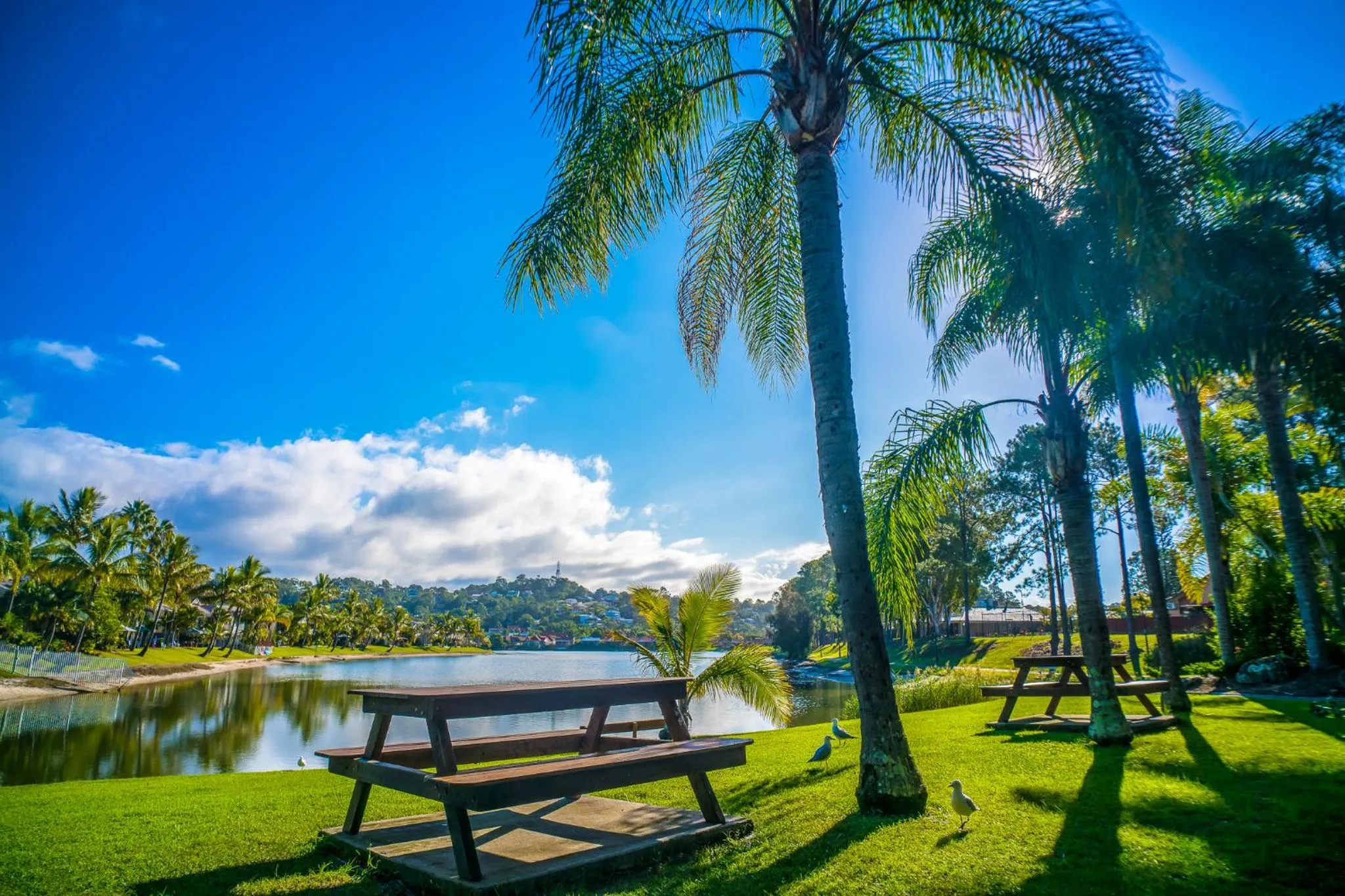 Lake view in Bay of Palms
