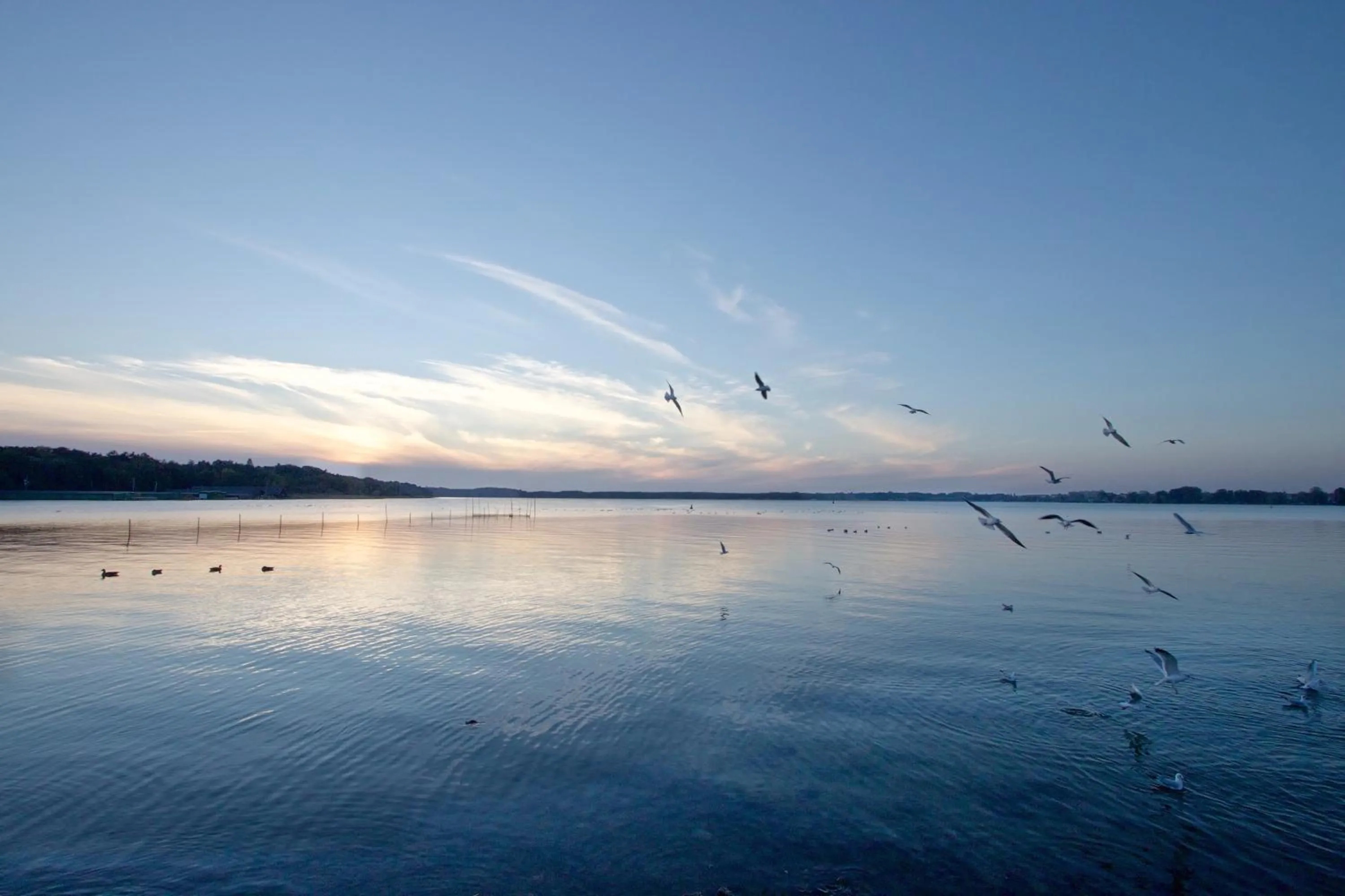 Lake view in Maremüritz Yachthafen Resort