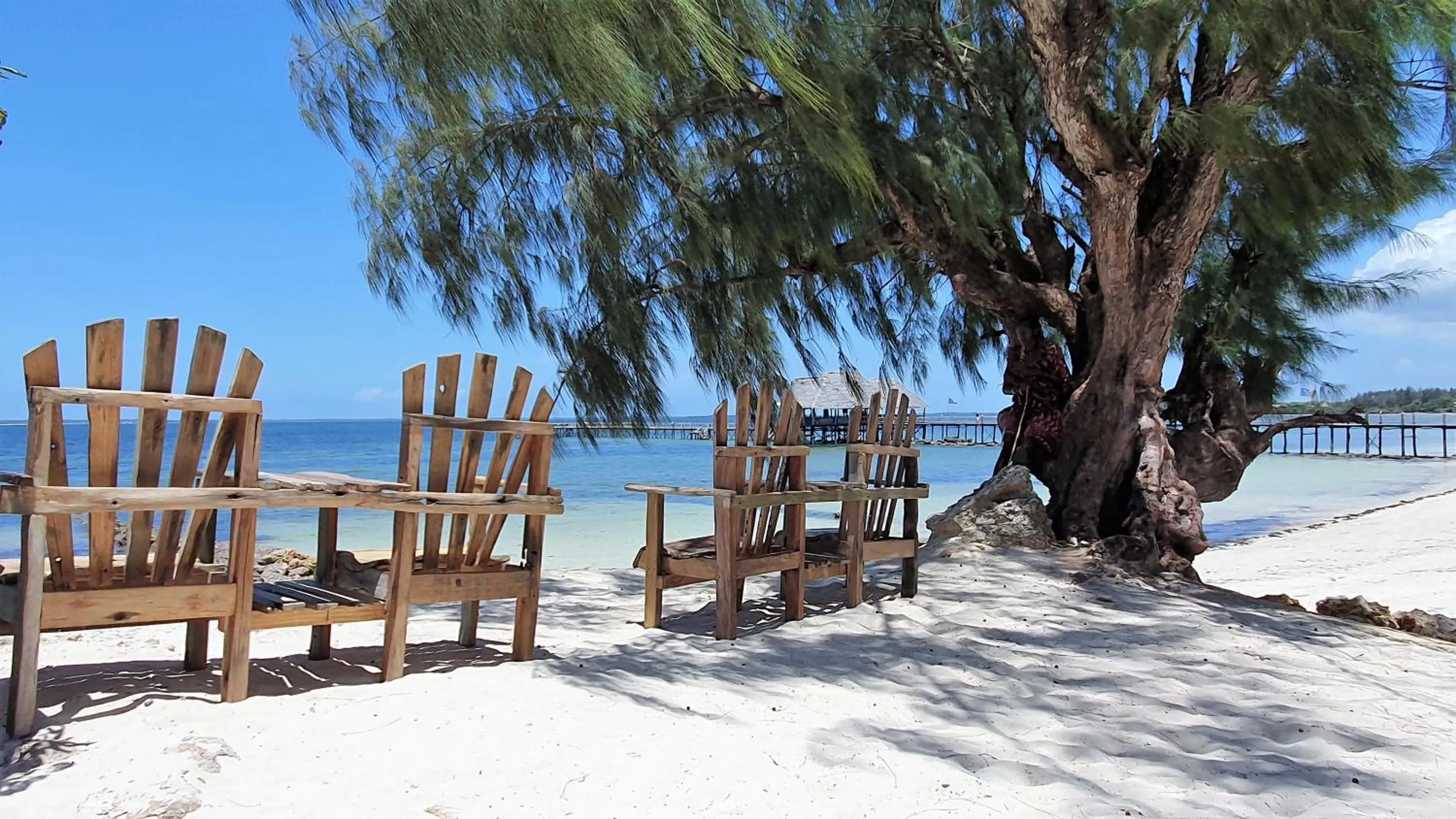 Natural landscape in Zanzibar Bay Resort & Spa