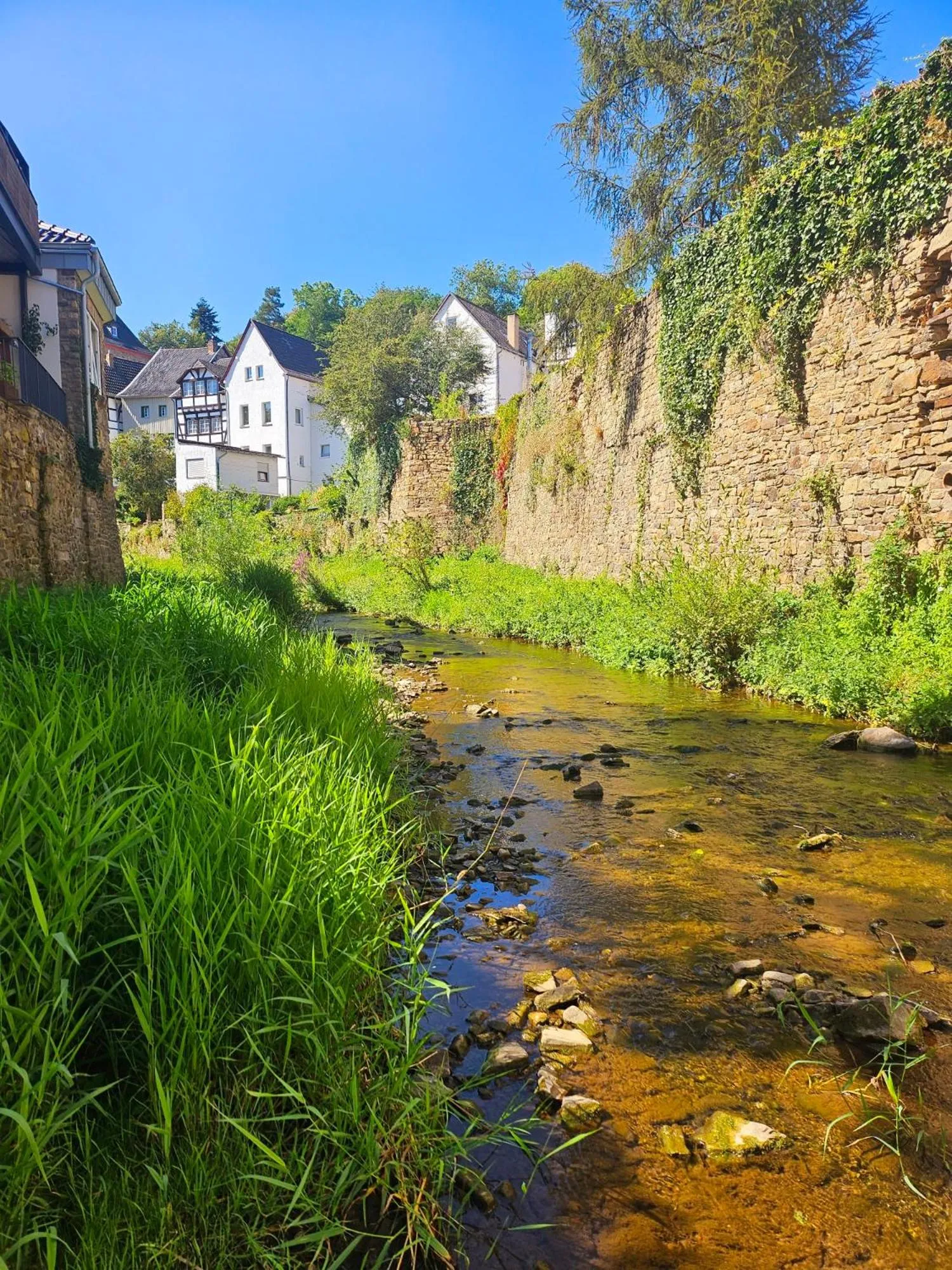 Garden in Boutique Hotel Marielle